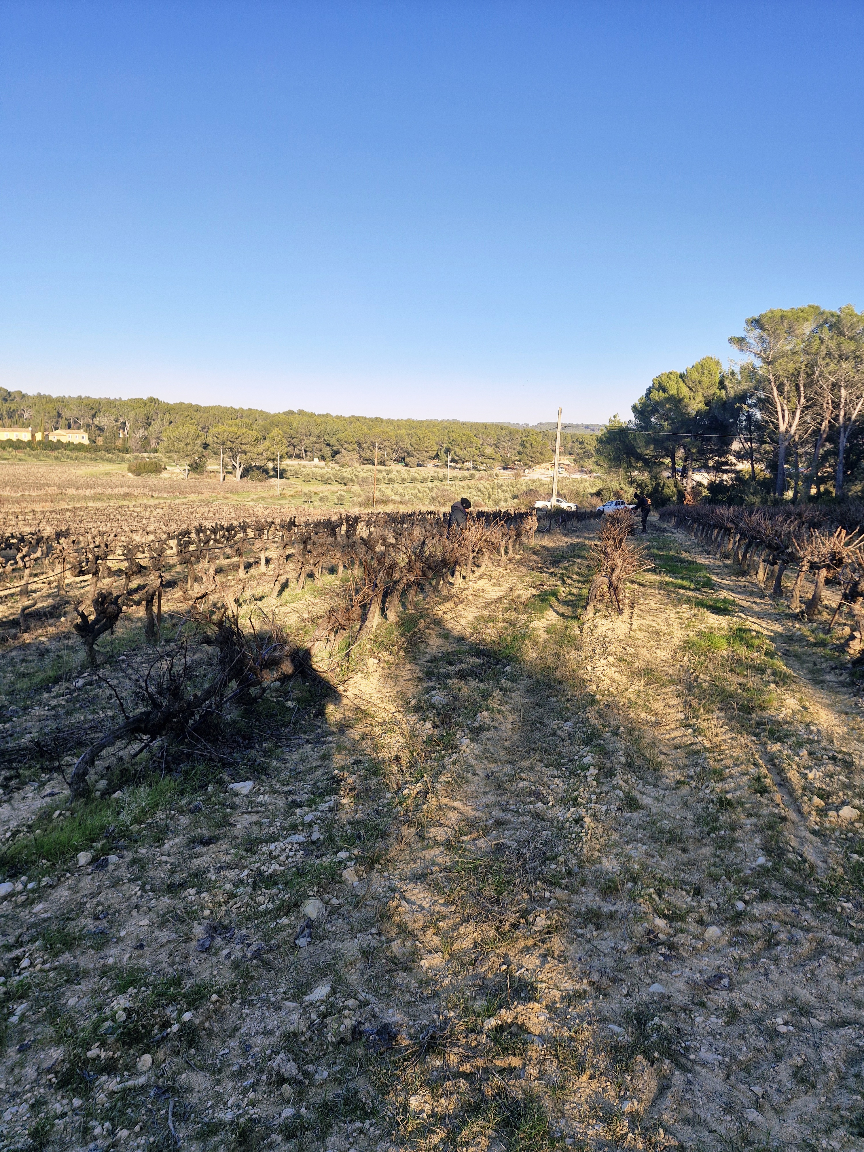 Les Lambesc'apades : Visite du Mas du Grand Croignes