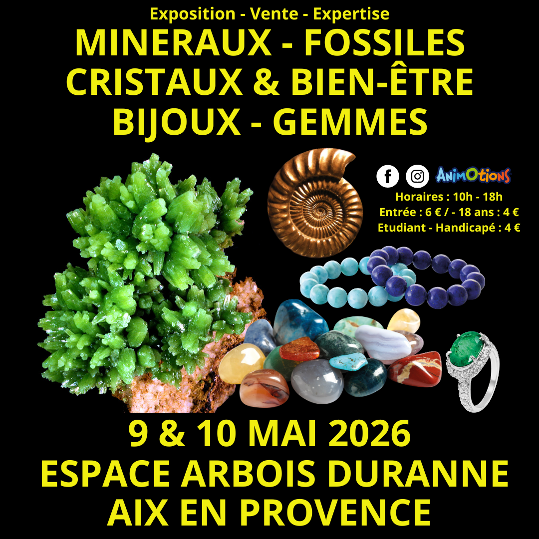 Salon Min�raux Fossiles Cristaux & Bien-�tre Bijoux et Gemmes d�Aix en Provence + Exposition l�Histoire de nos Anc�tres