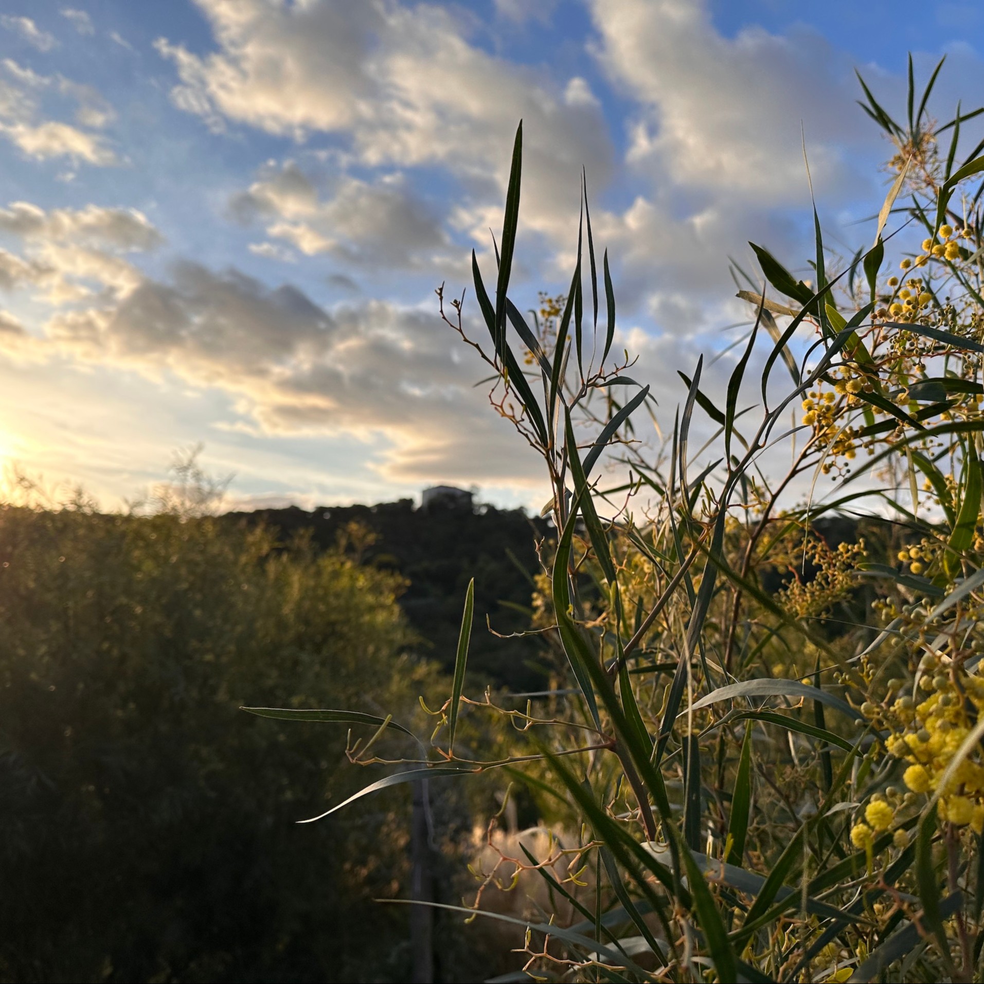 Balade autour de FONCIN avec M�lanie ROBEAU