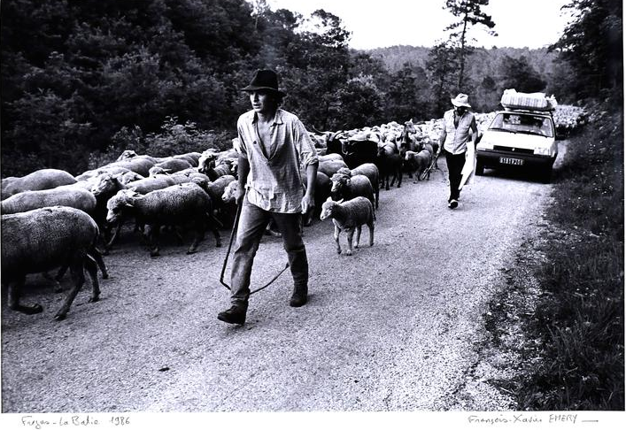 Exposition La Transhumance