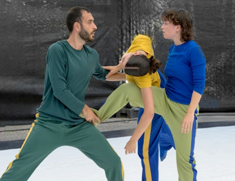 BIRDS - Festival Go.Elans - Soir�e partag�e 4 compagnies