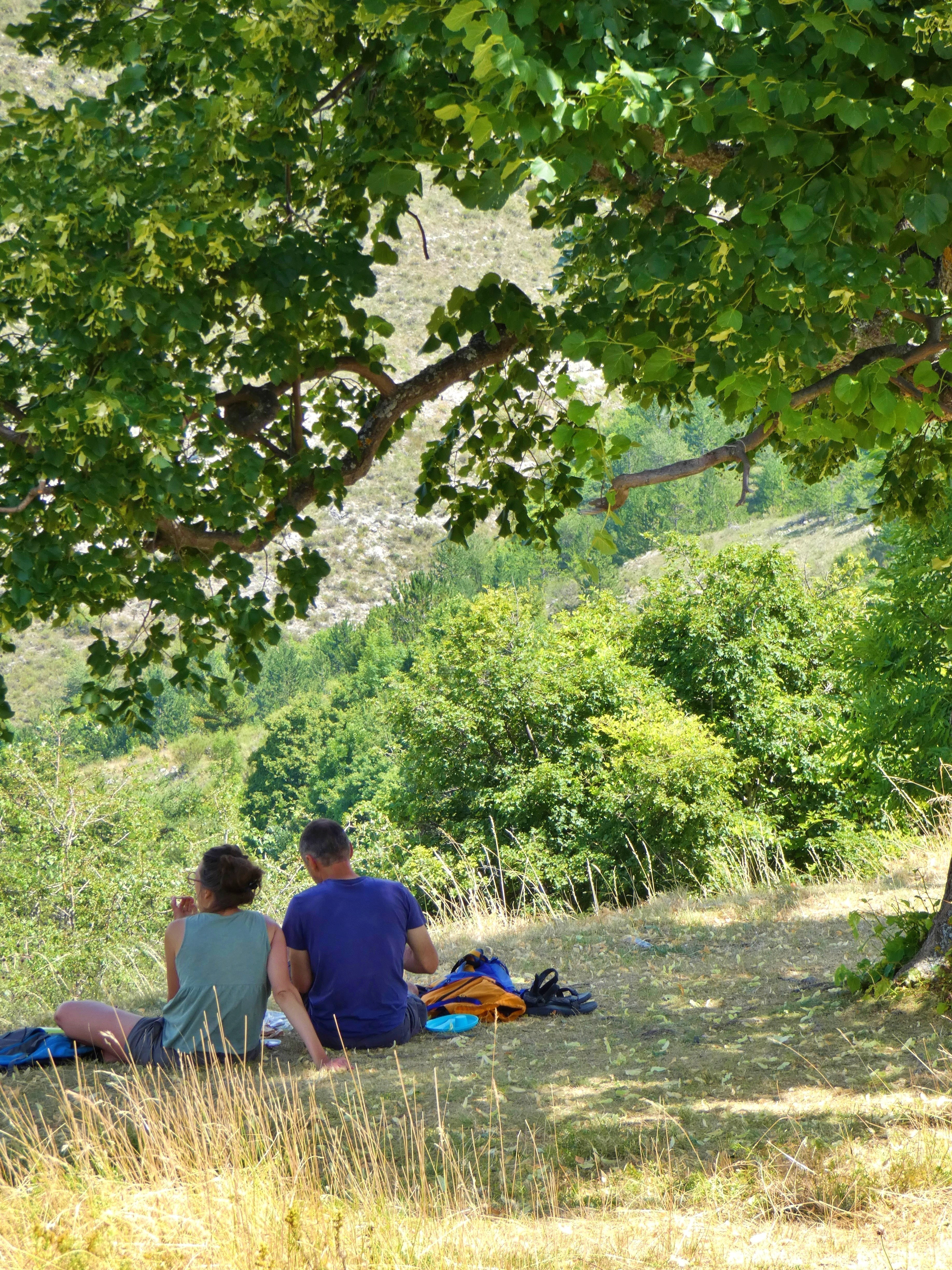 Initiation � la cueillette du tilleul - Les cueillettes de Marielles