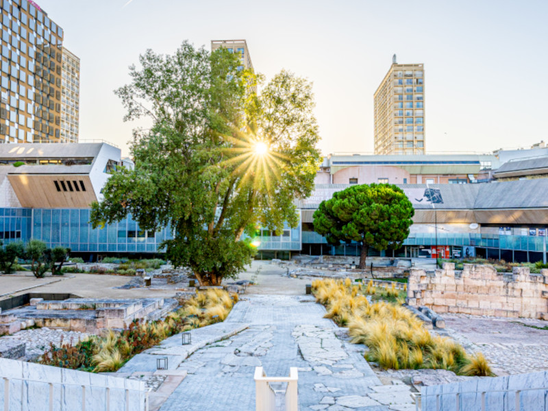 D�los et ses pierres. La fabrique d'une ville antique
