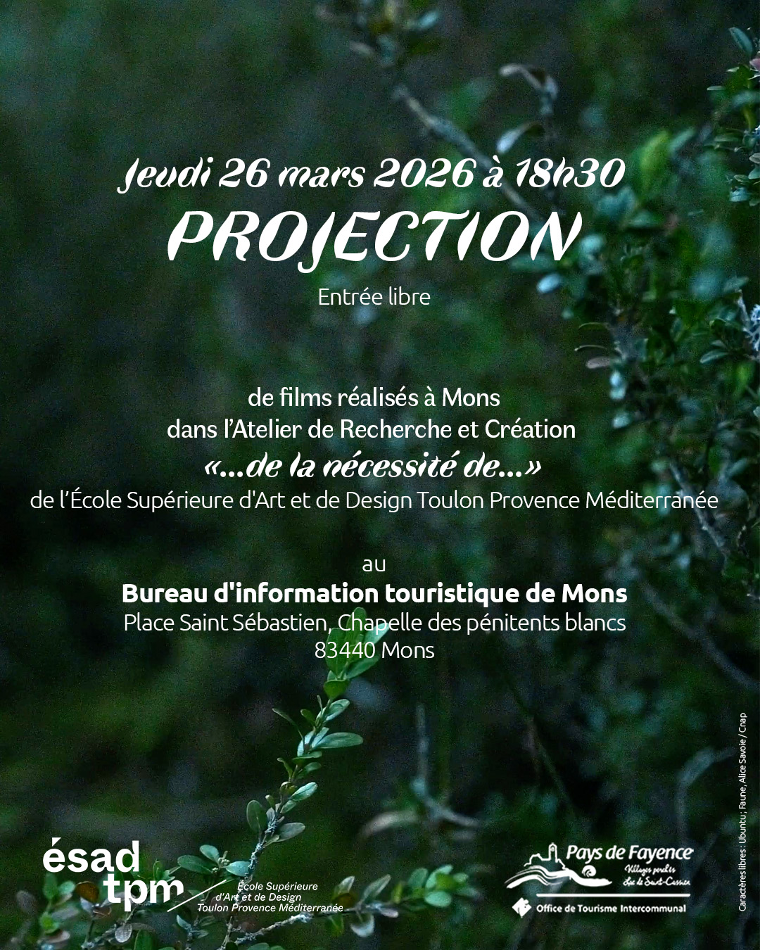 Projection d'Art