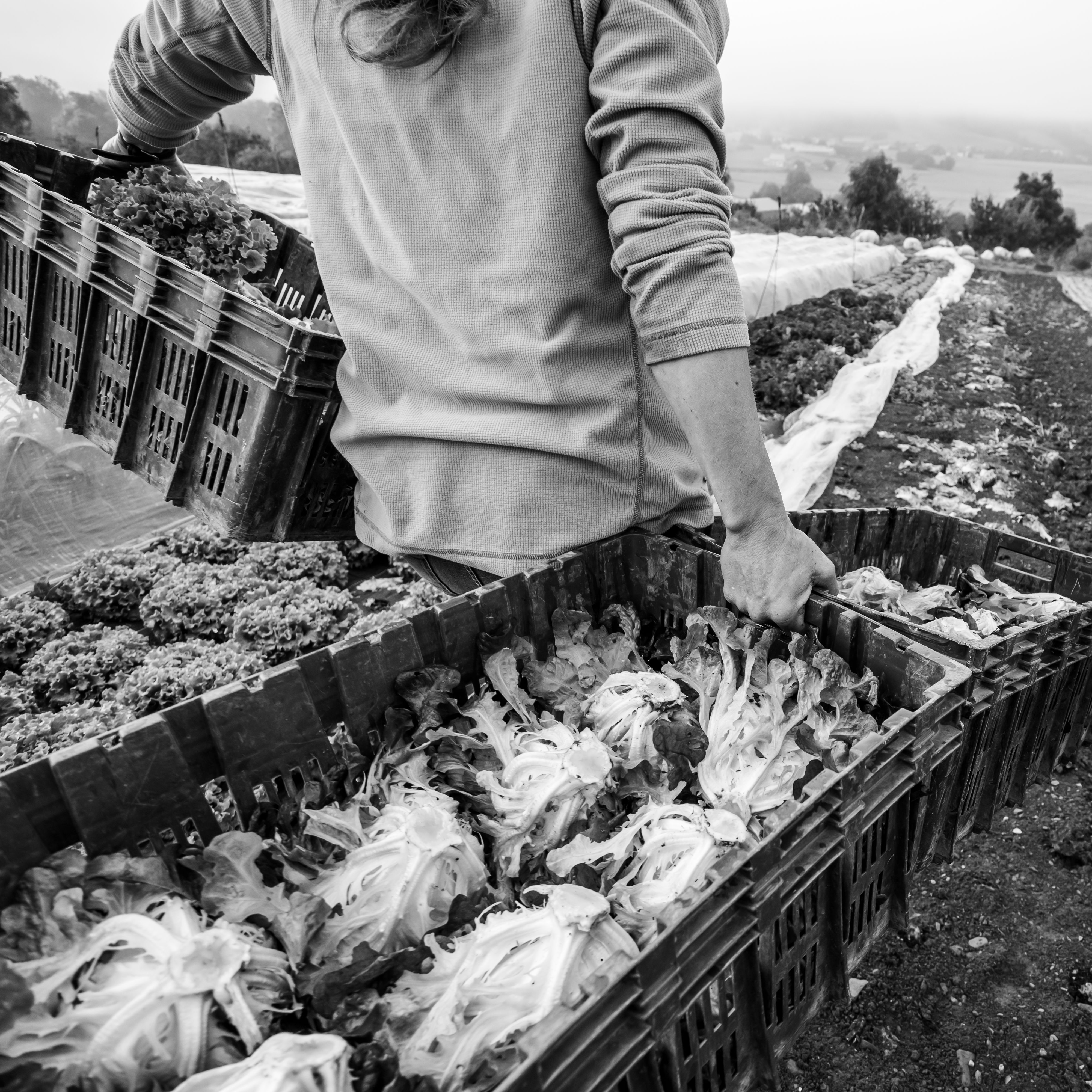 Vernissage de l'exposition 