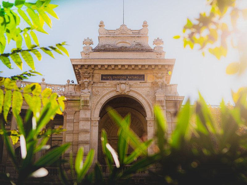 Biodiversit� marseillaise, entre mer et collines