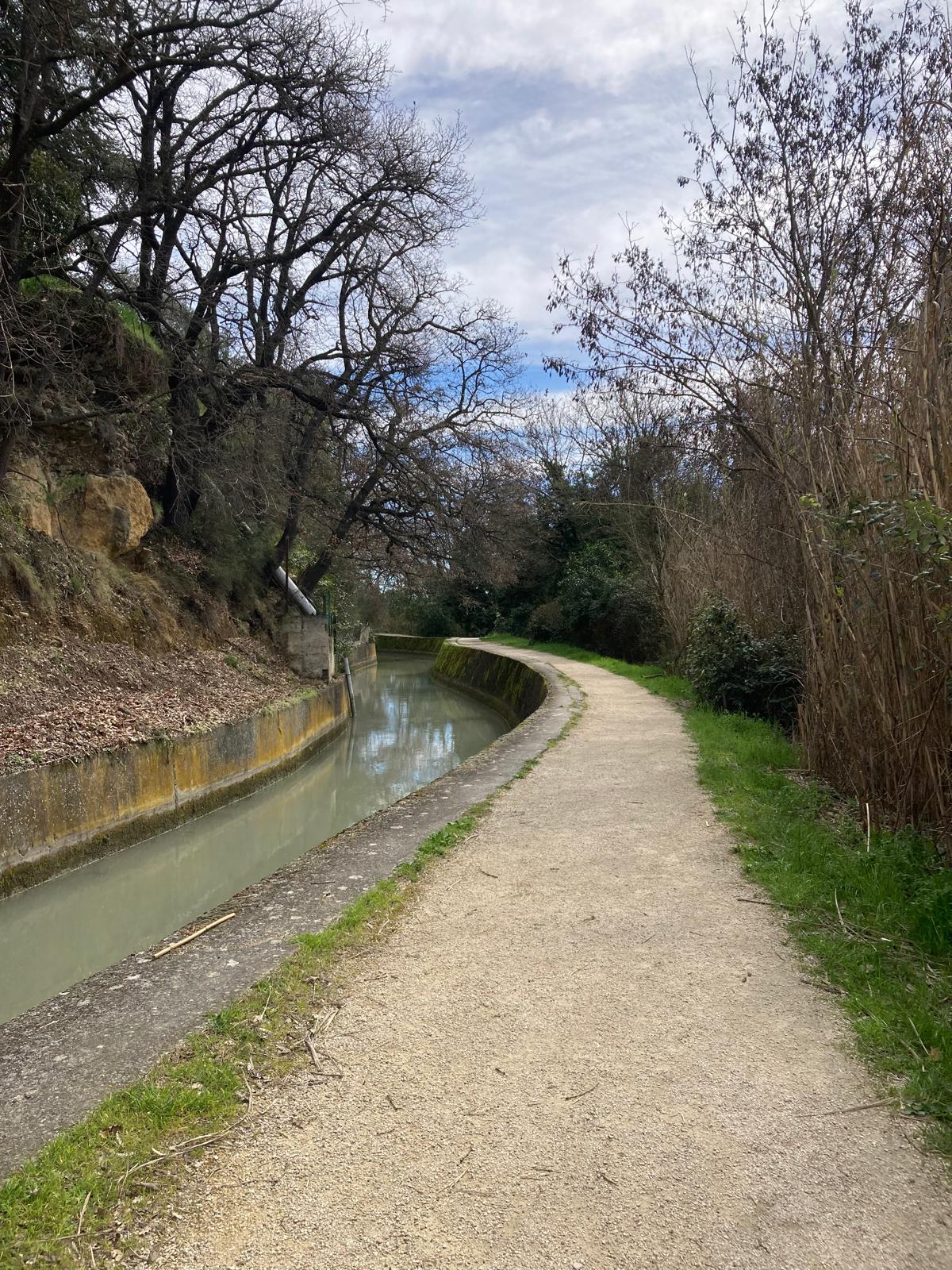 Balade d�couverte des plantes sauvages et m�dicinales