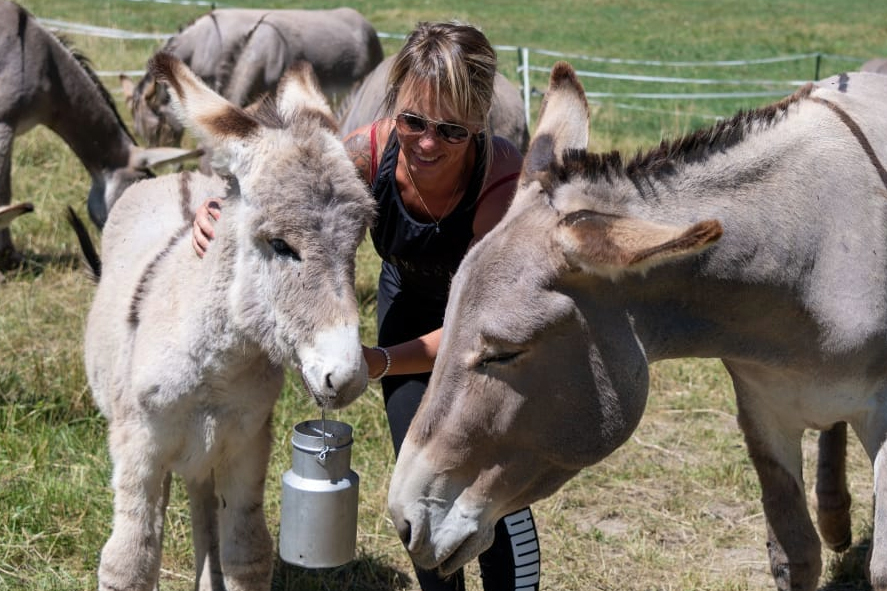 Journ�es du patrimoine de Pays : tour et d�tour