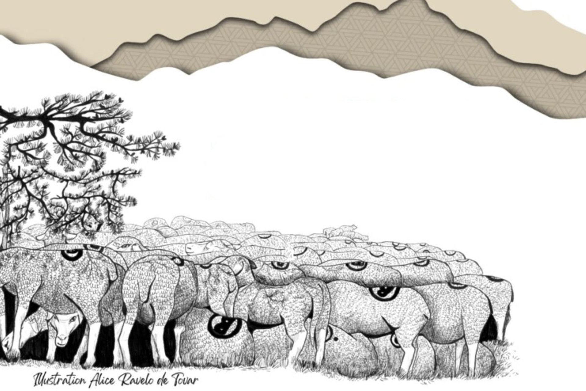 Inauguration de l'exposition � O� vas-tu Berger(�re) ? Transhumance et soci�t� �