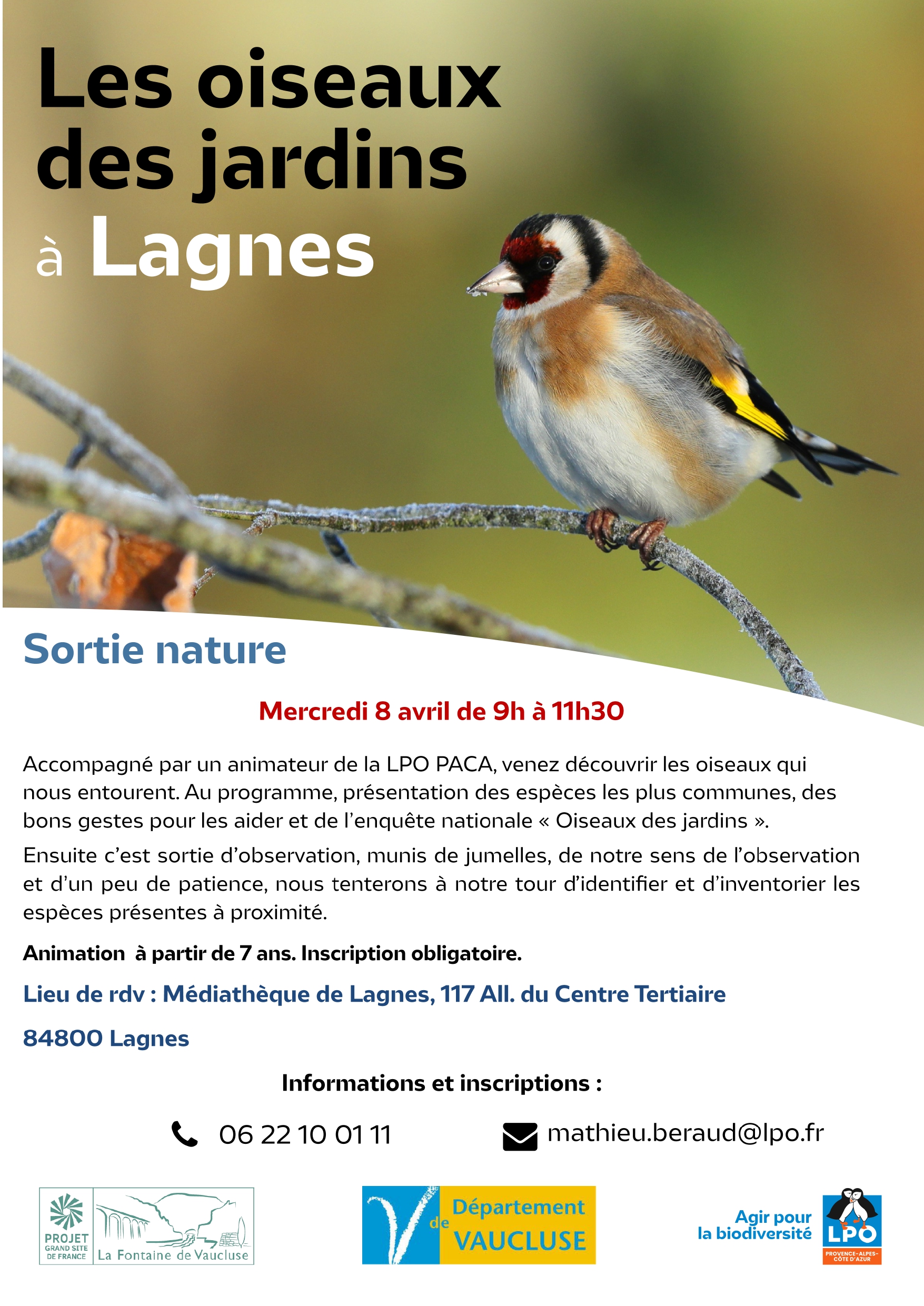 Les oiseaux des jardins � Lagnes