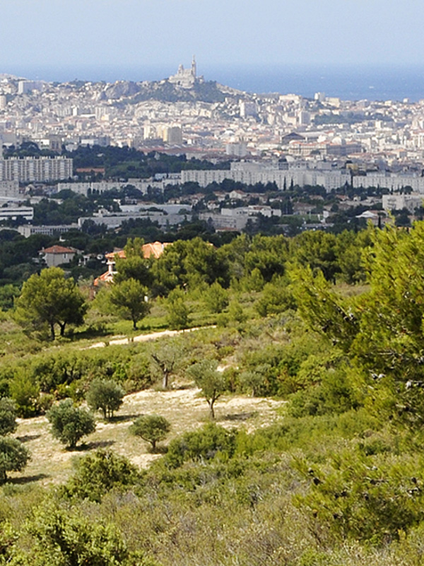 S�ances d'entra�nement observations Inaturalist, CNC 2026