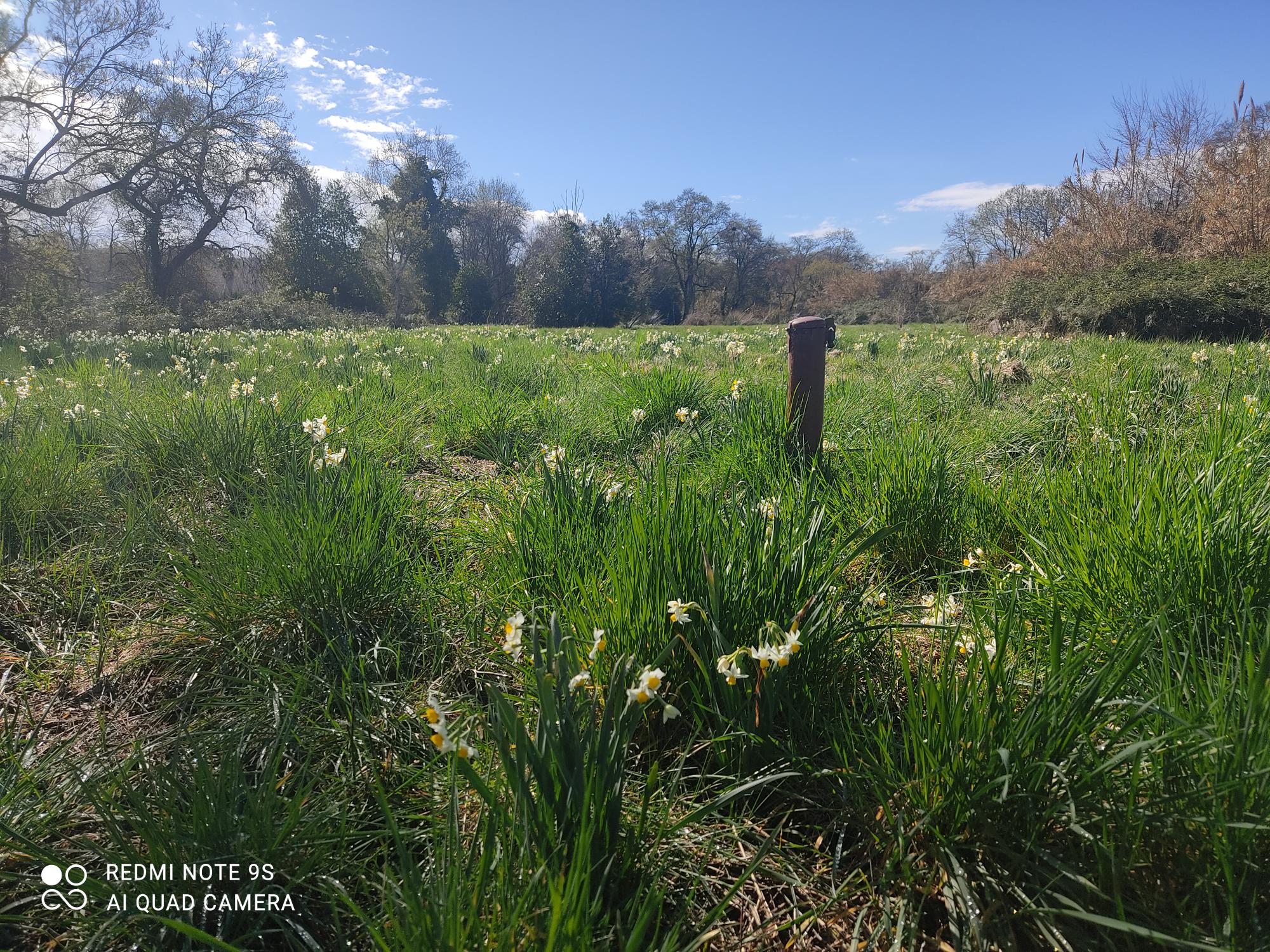 Visite des prairies humides de la Brague