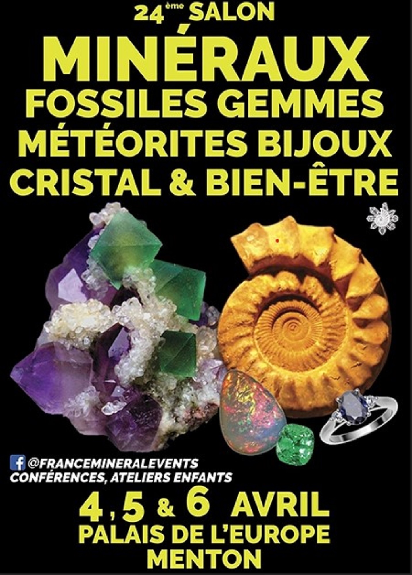 24�me salon des min�raux