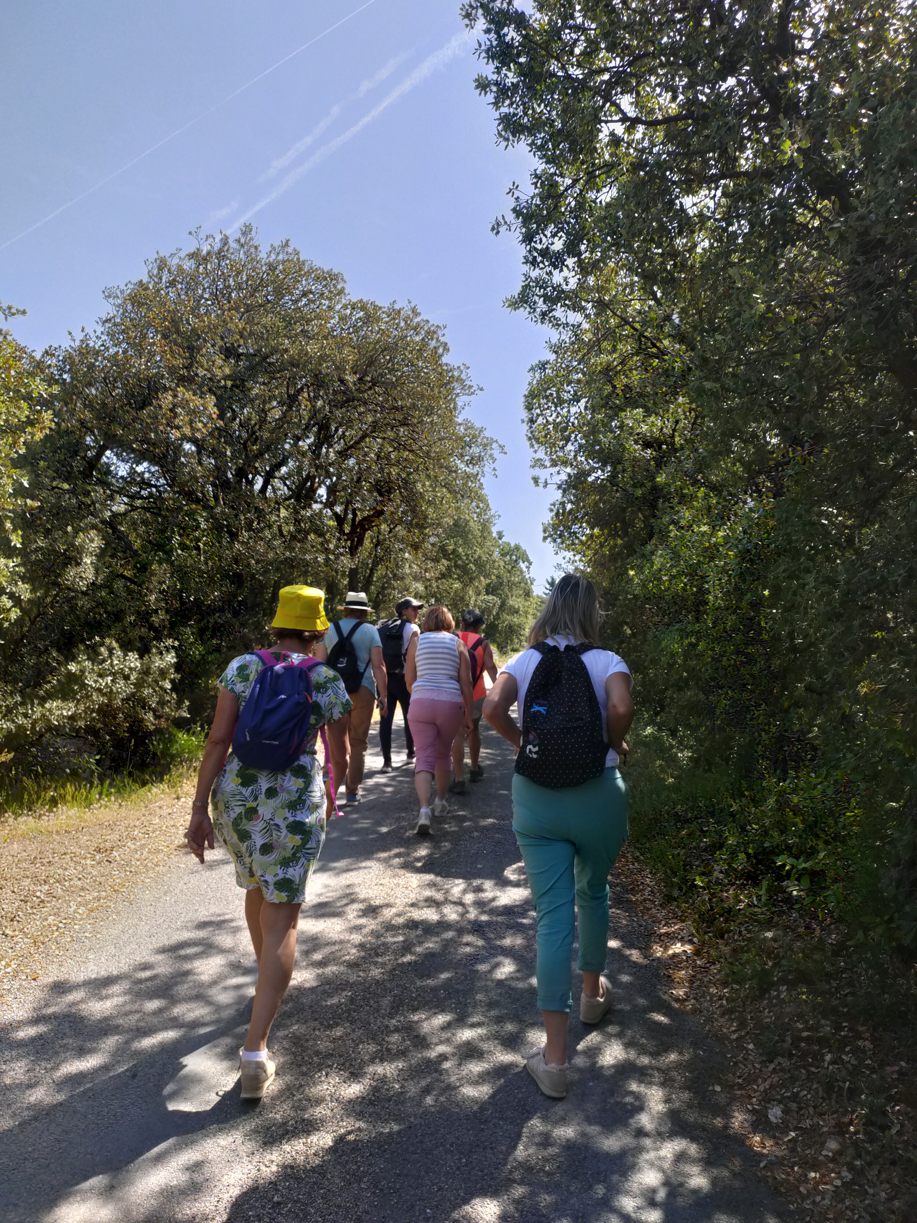 Balade � la for�t des c�dres