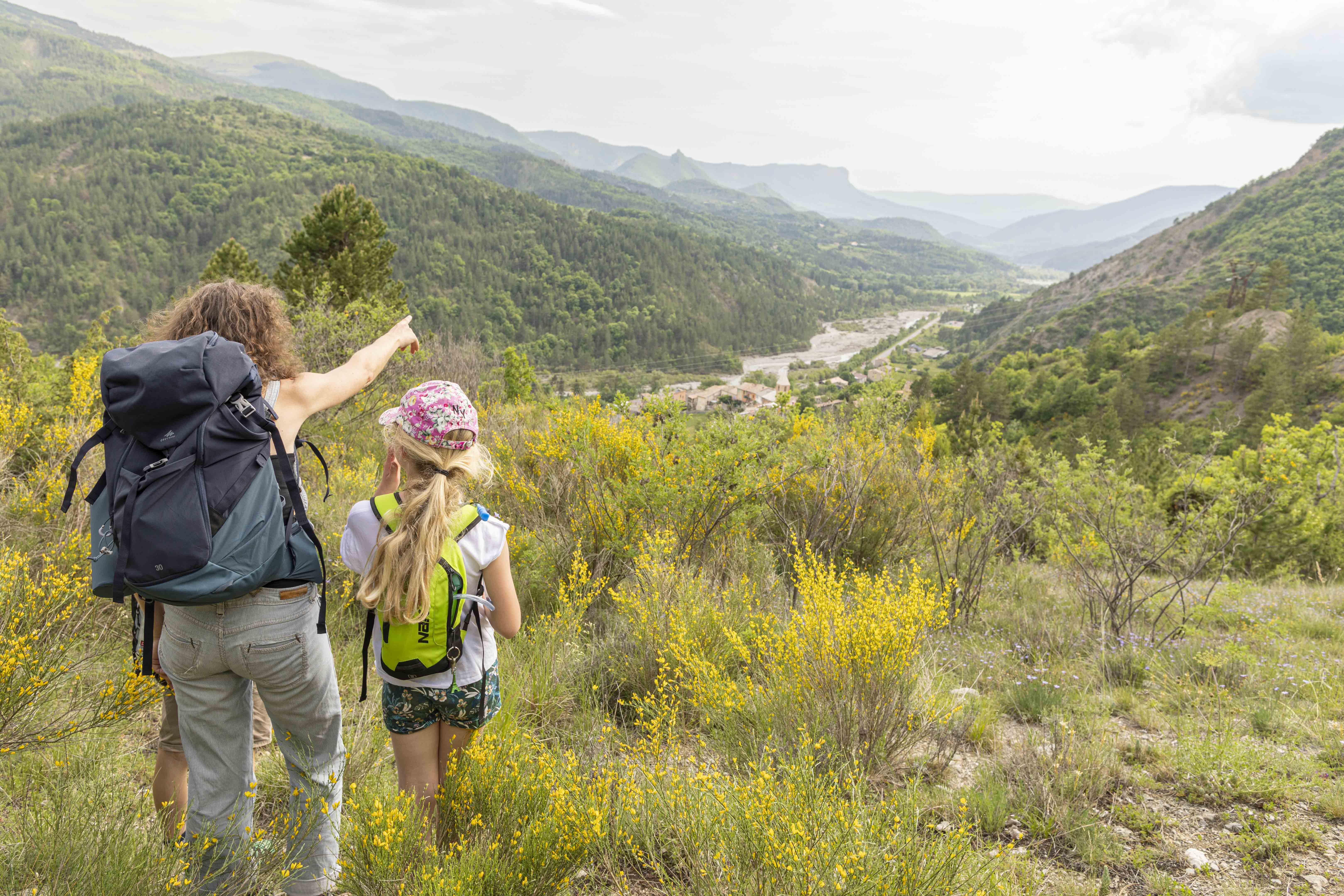 A la d�couverte des orchid�es