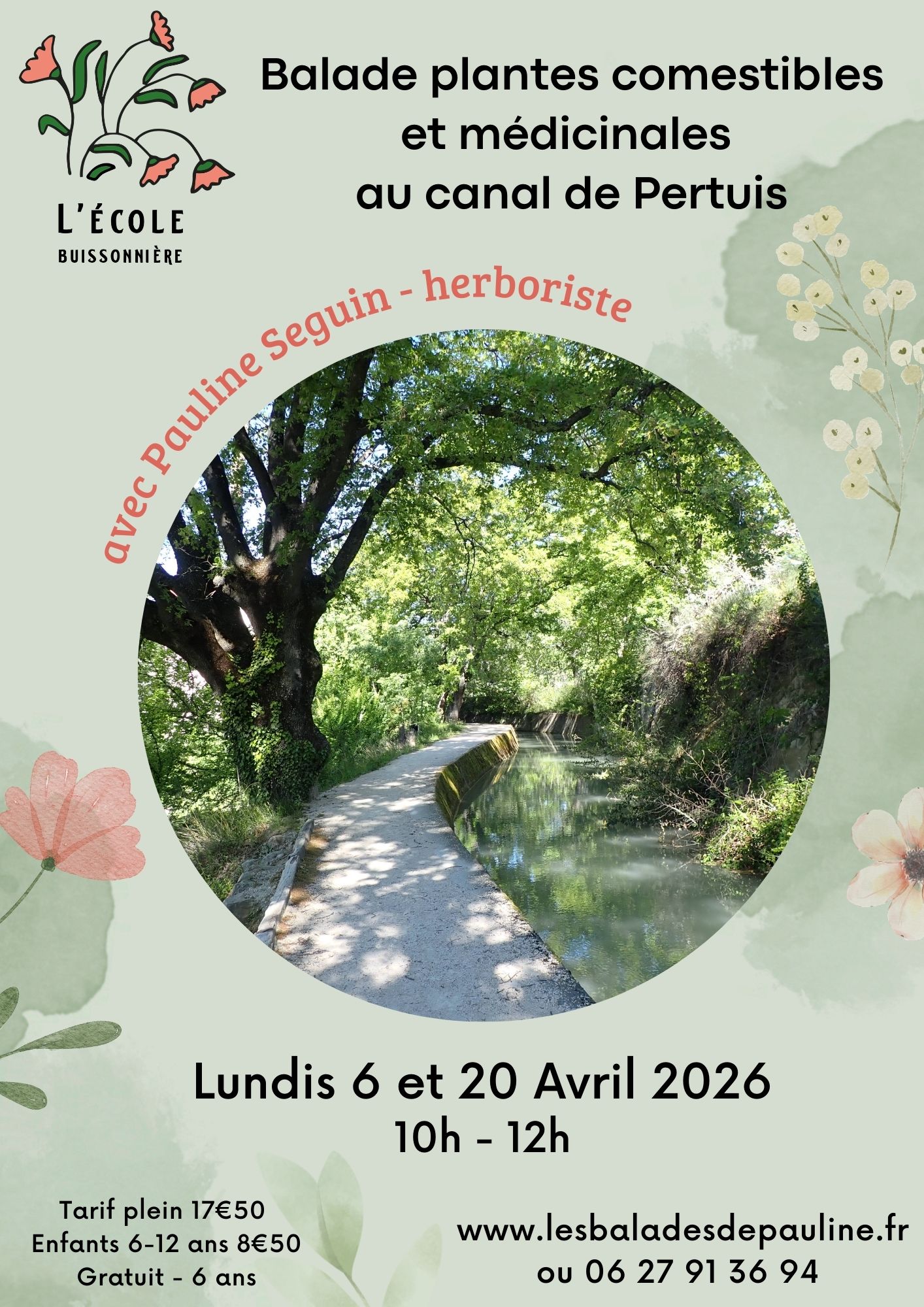 Balade plantes comestibles et m�dicinales du canal de Pertuis