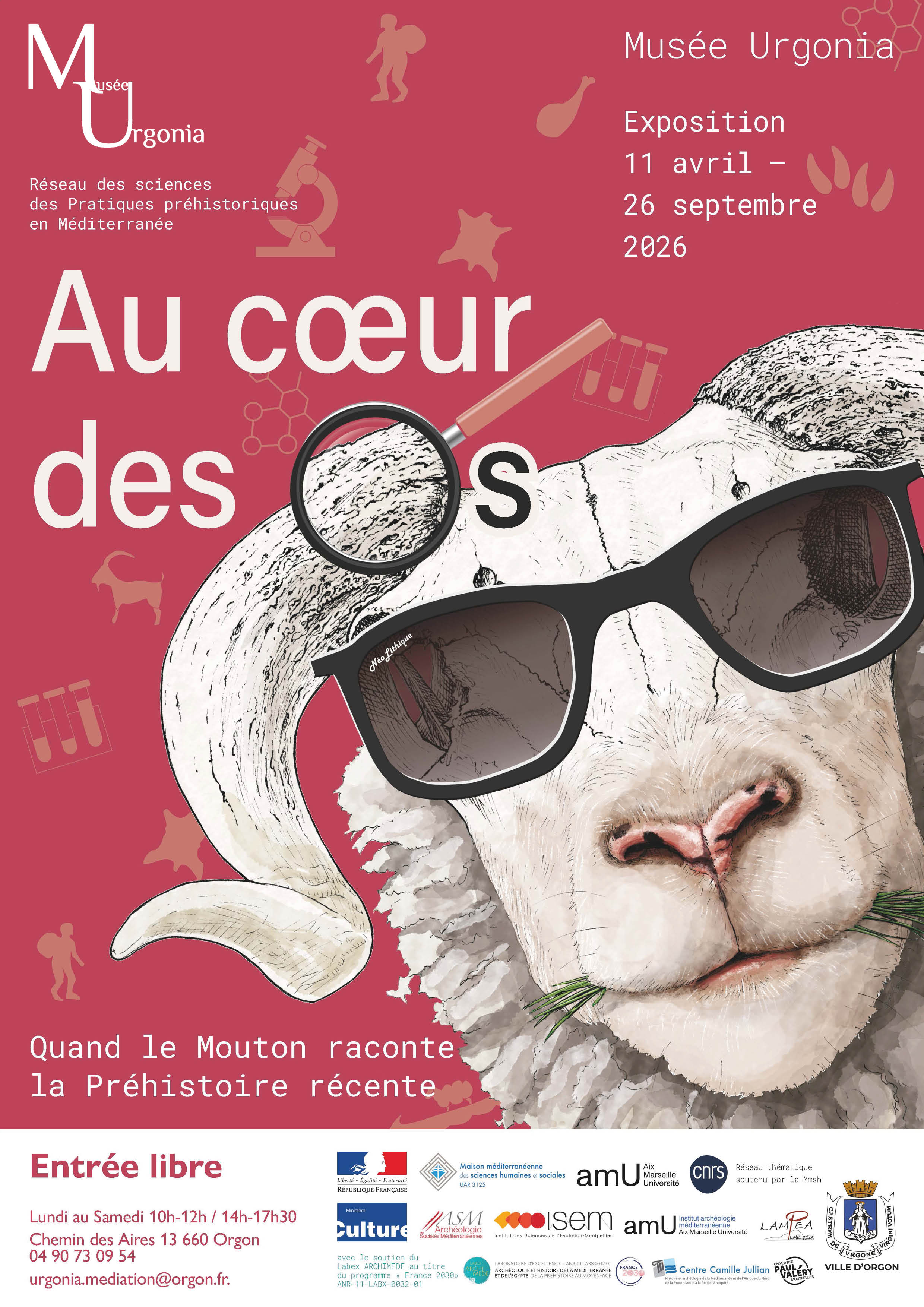 Exposition temporaire � Au c�ur des os, quand le mouton raconte la Pr�histoire r�cente �