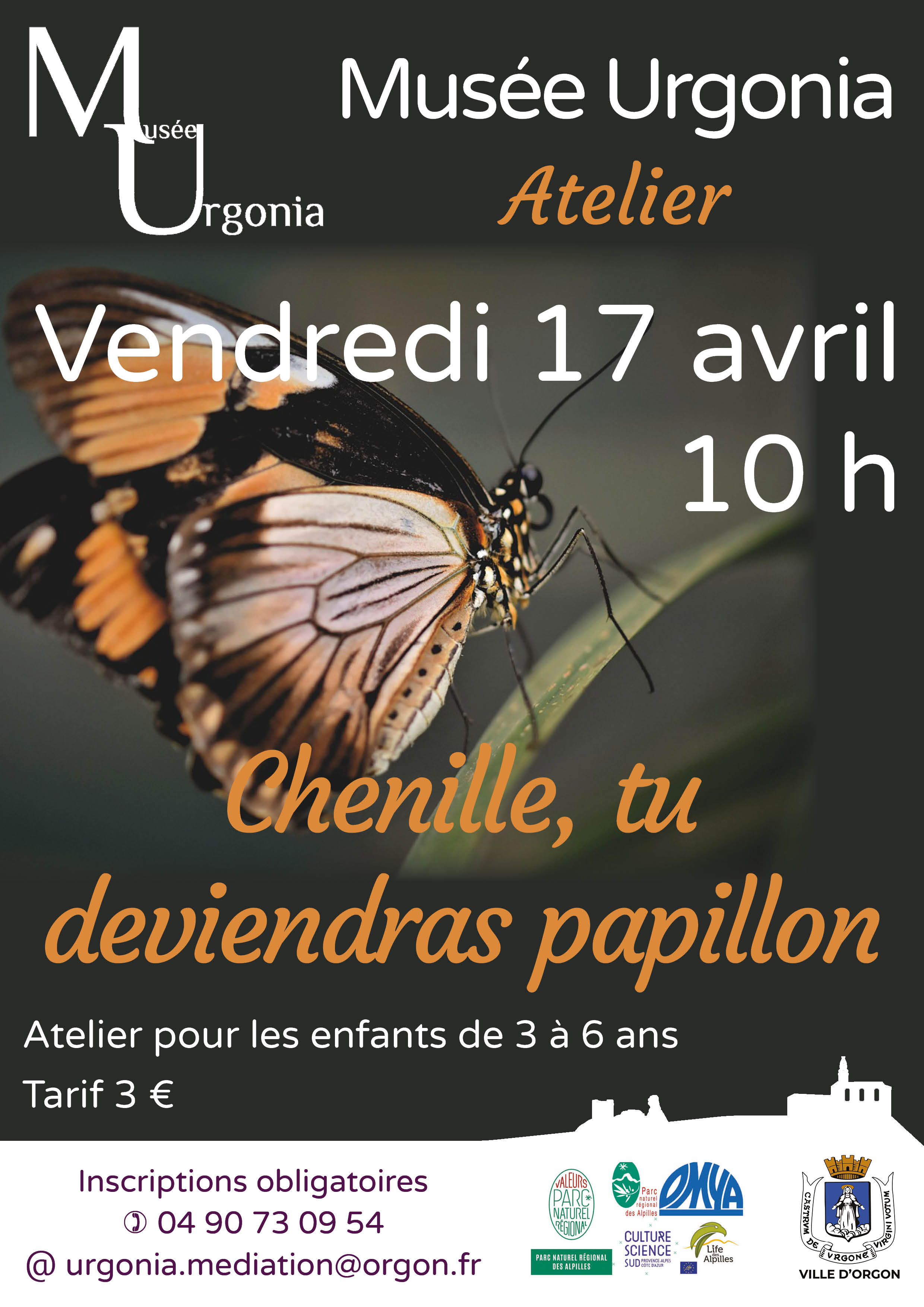 Atelier � Chenille, tu deviendras papillon �