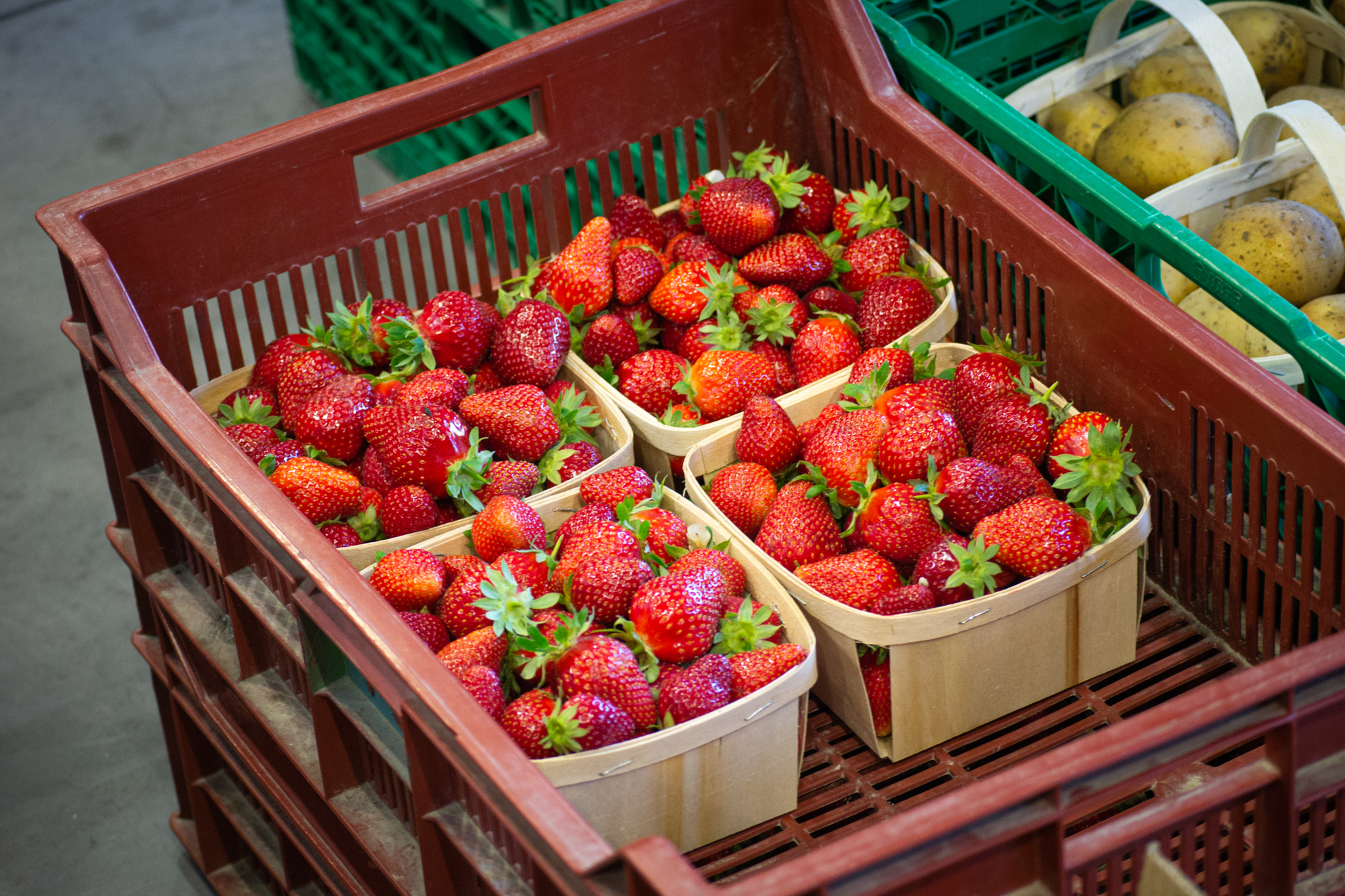 March� � la ferme �Les Javonnes�