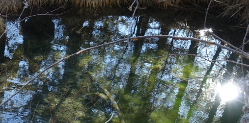 Sortie grand public autour des Nays