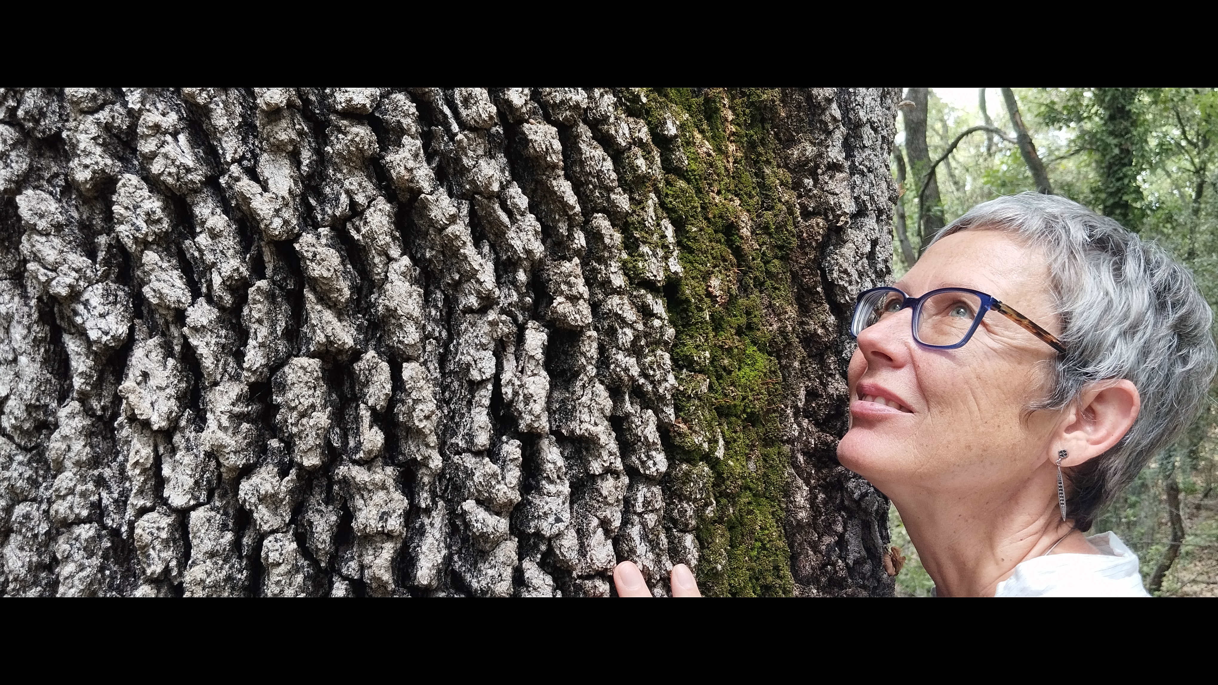 Sortie Shinrin Yoku ou Bain de For�t