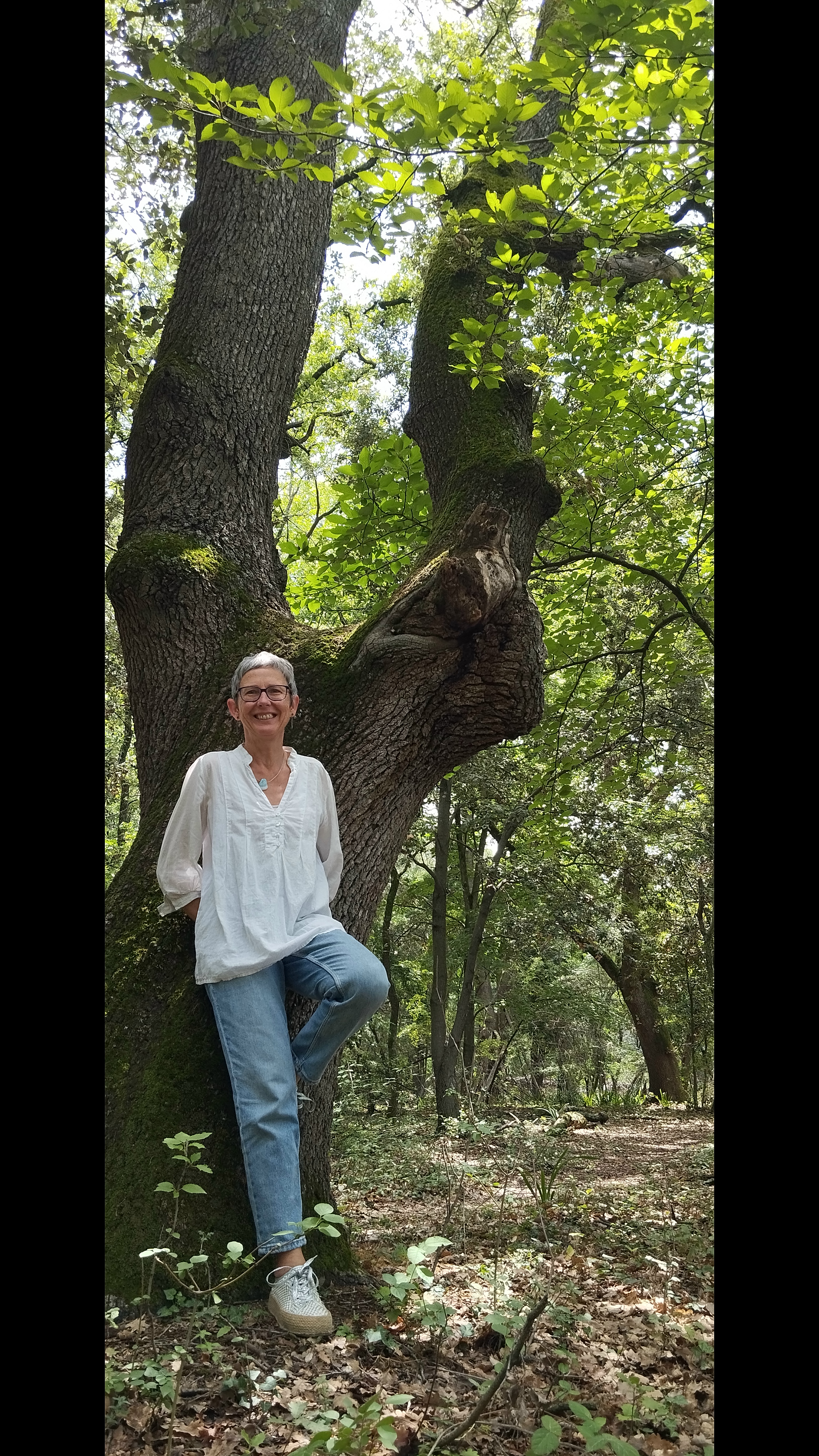 Sortie Shinrin Yoku ou Bain de For�t