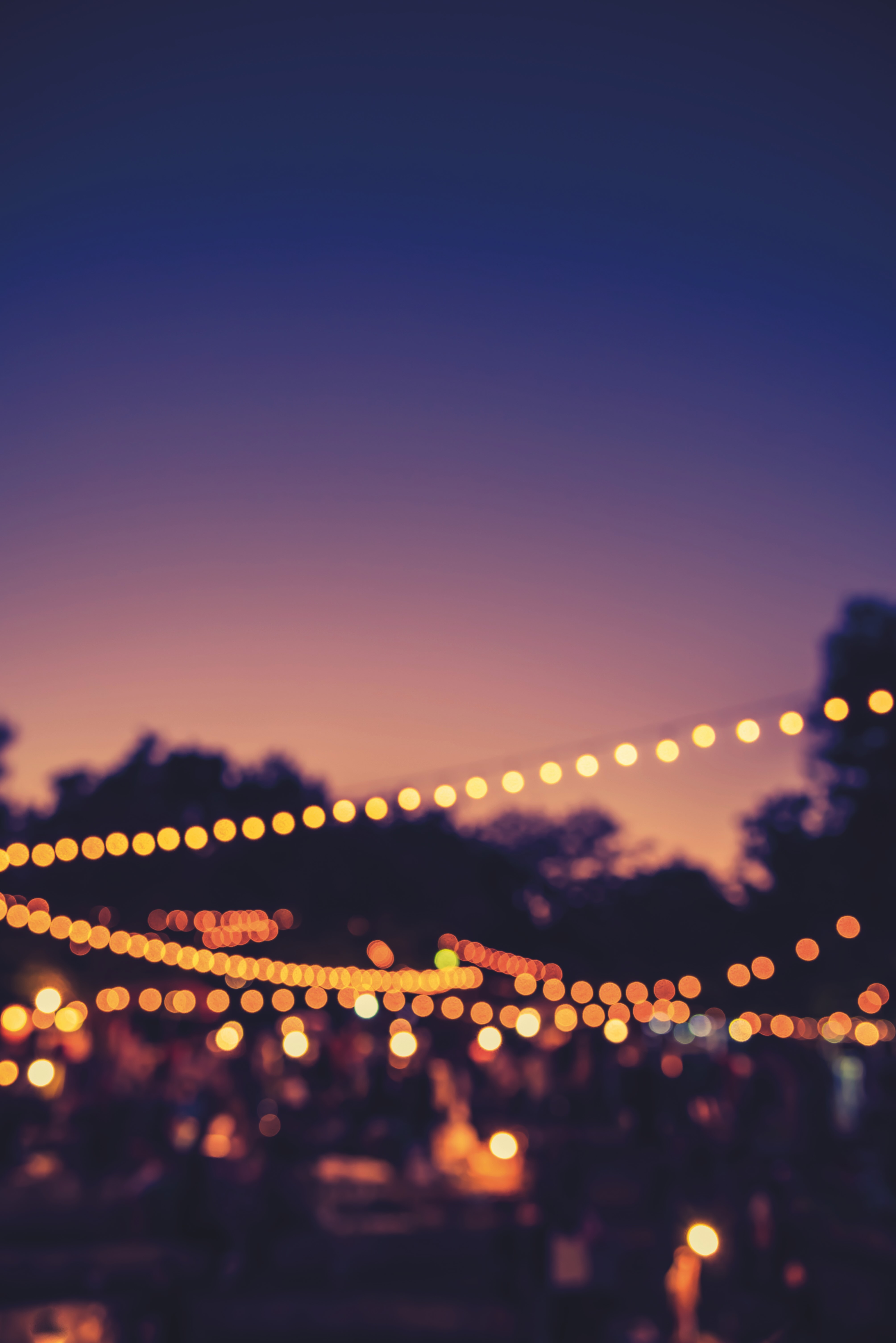 Festival de la Camargue - Soir�e officielle d'ouverture en musique