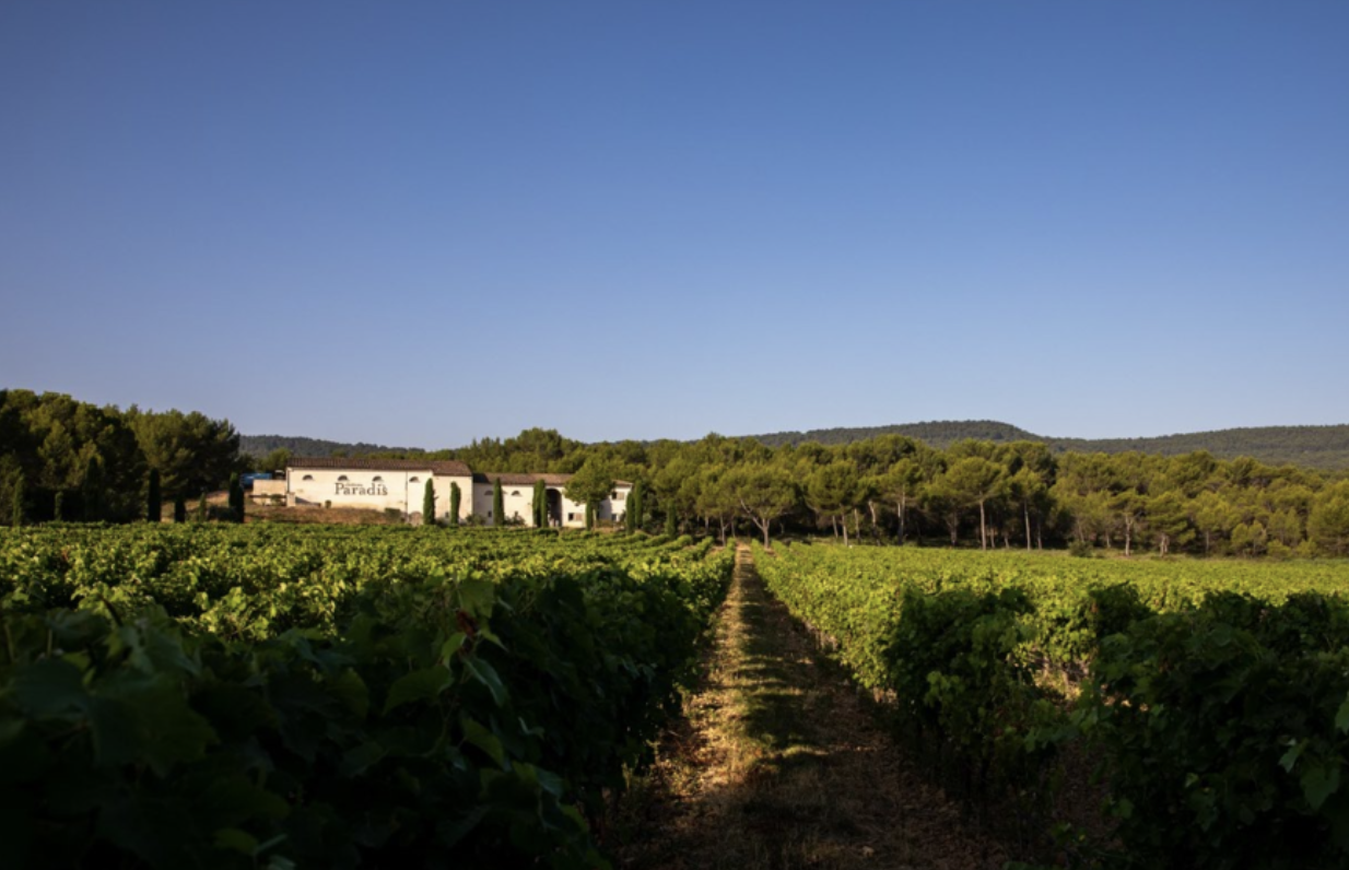 Ballades Immersives � D�gustation de vin et d�huile d�olive