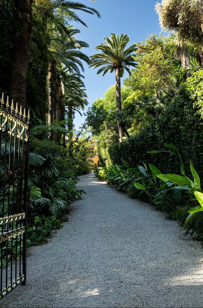Visite-atelier famille au Val Rahmeh : la Barbe de Jupiter a du Souci � se faire !