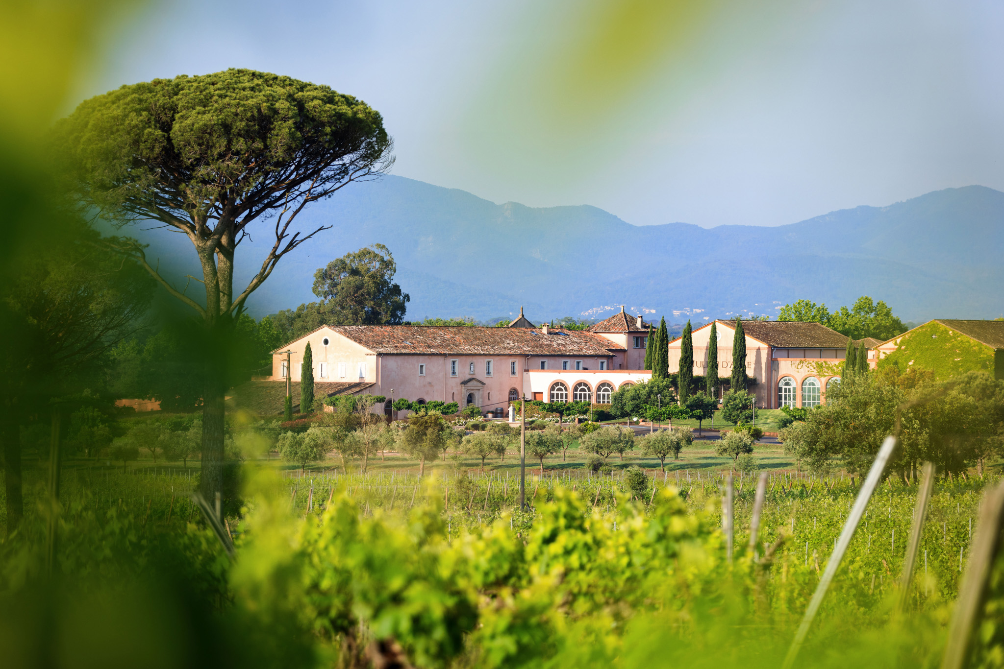 D�gustation de produits � la Truffe BIO'N- Domaine Saint- Julien d'Aille