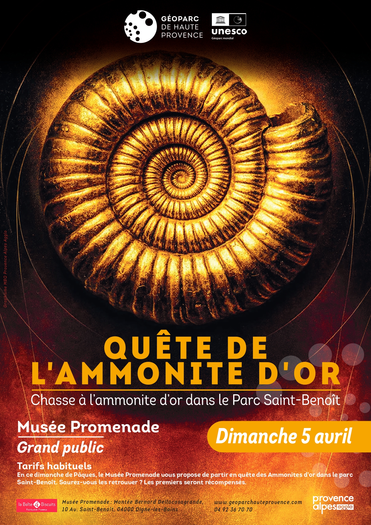 Qu�te de l'ammonite d'or