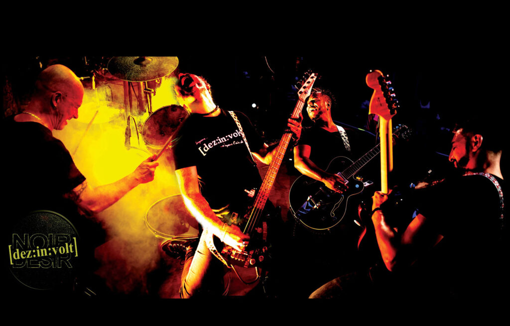 De:zin:volt - Festival Improbable