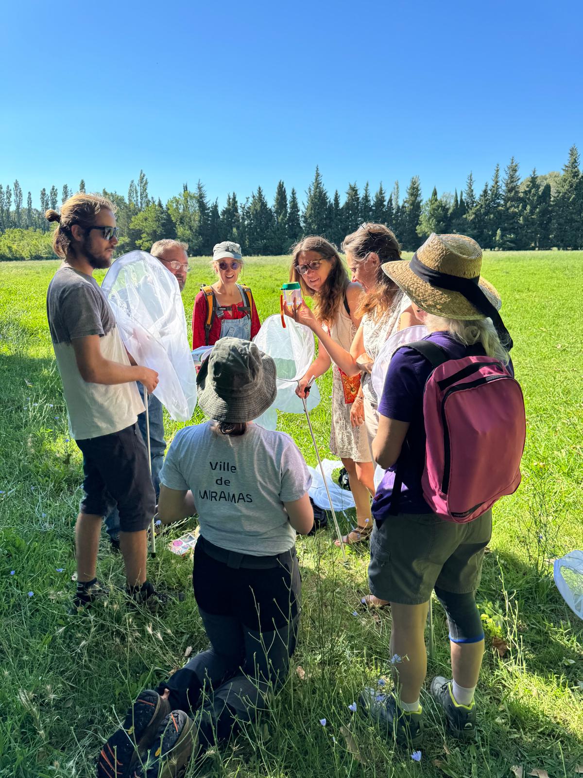 � la d�couverte des papillons � Miramas