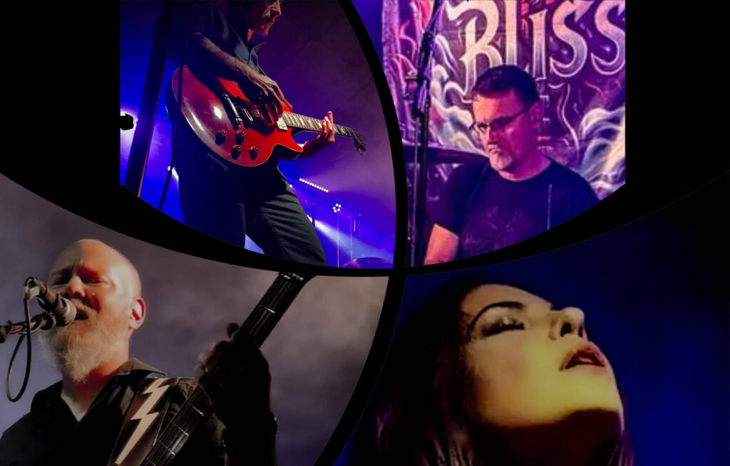 Bliss Band - Festival Improbable