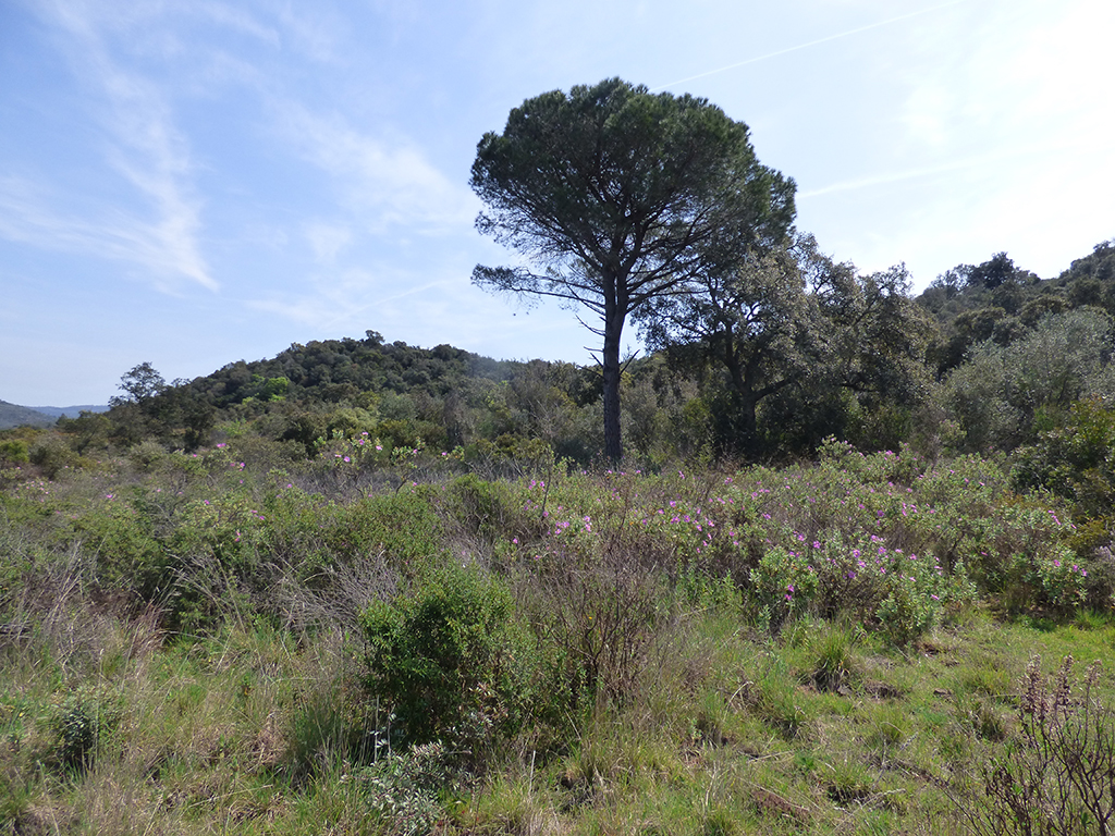 � la d�couverte du site du Bombardier � Fr�jus