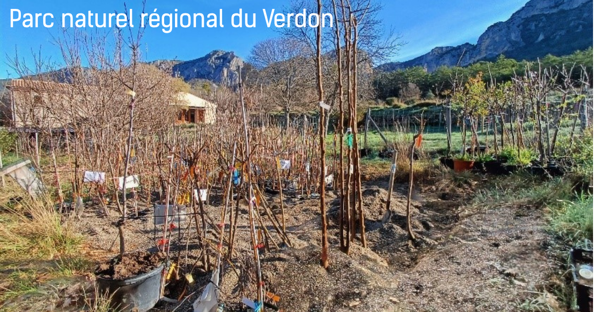 Il �tait un verger