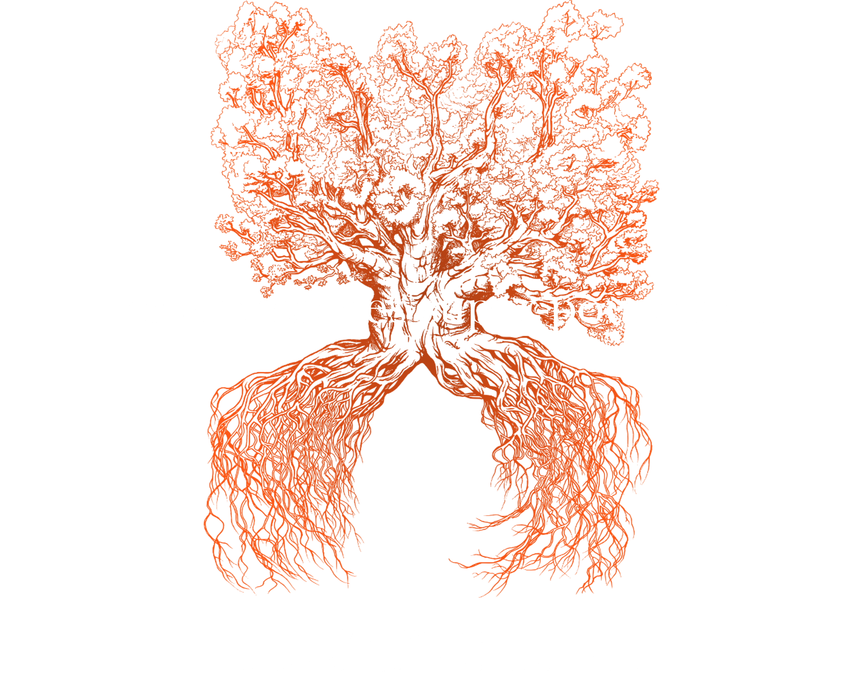 Conf�rence : Arbres, des super-pouvoirs?!