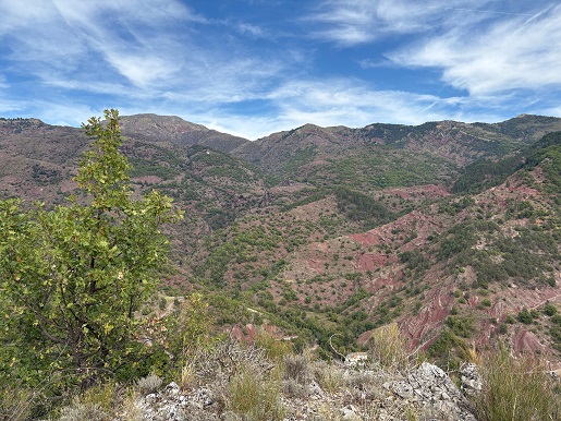 Faune et flore de la vall�e de la Roudoule