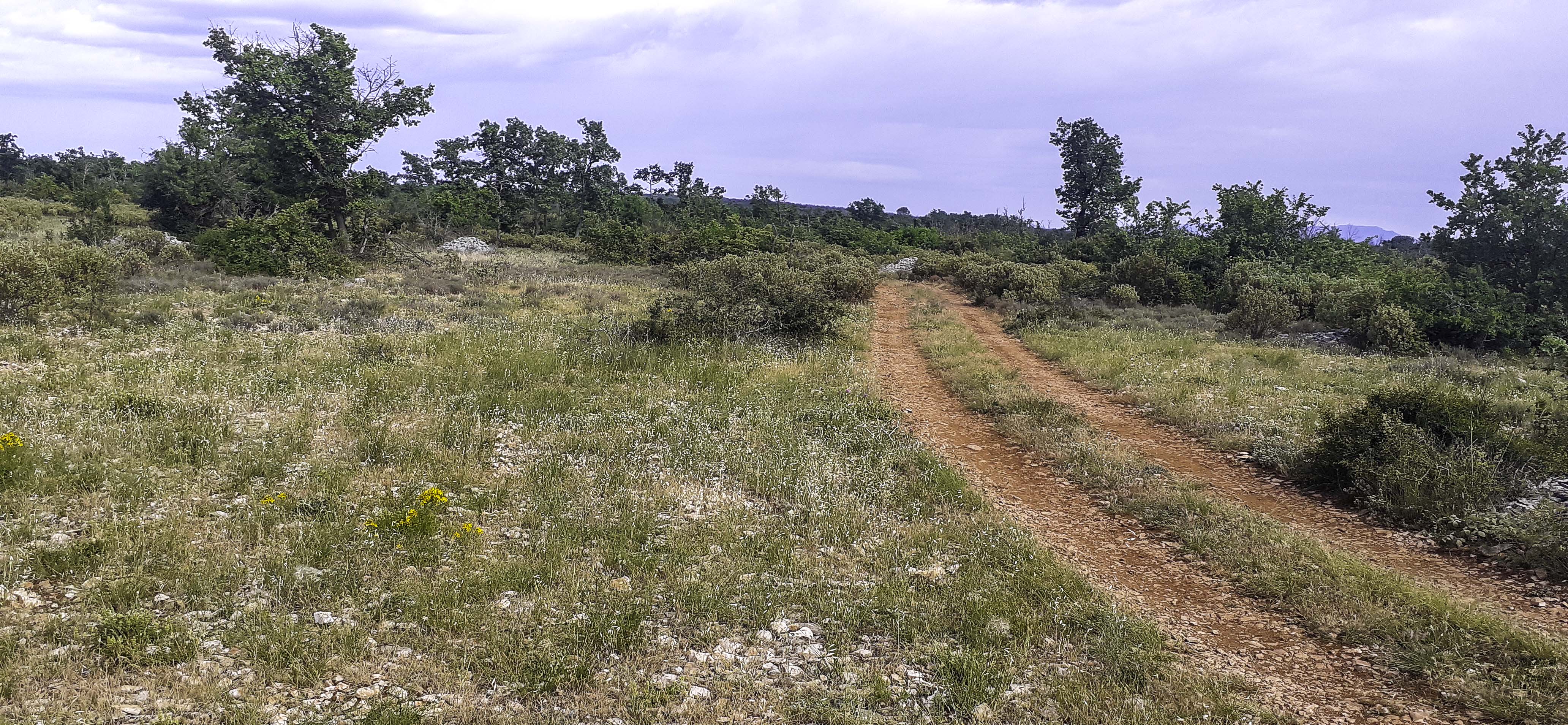 Inventaire photographique des papillons de nuit � Esparron