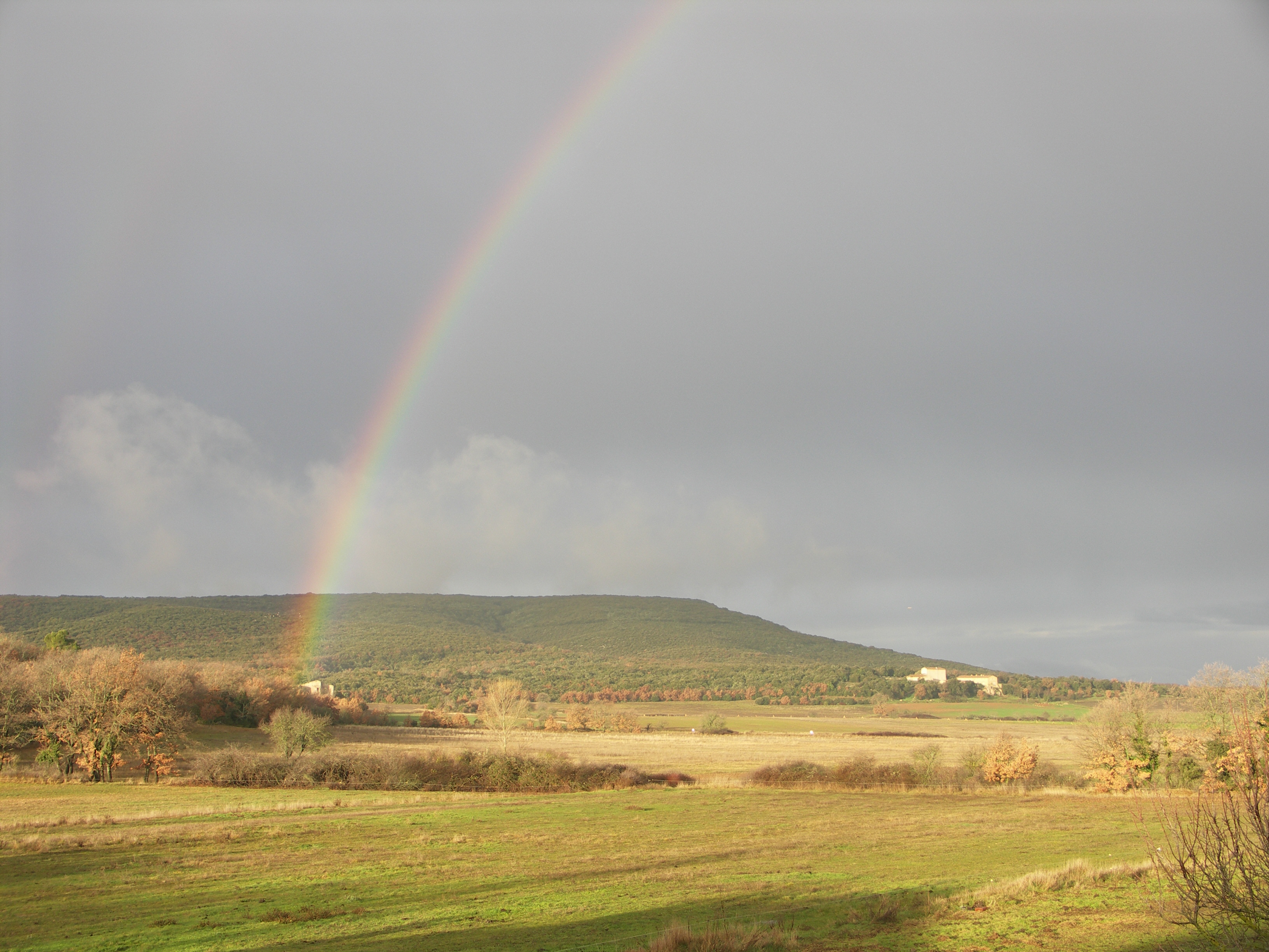 L�entomofaune de la Verdi�re