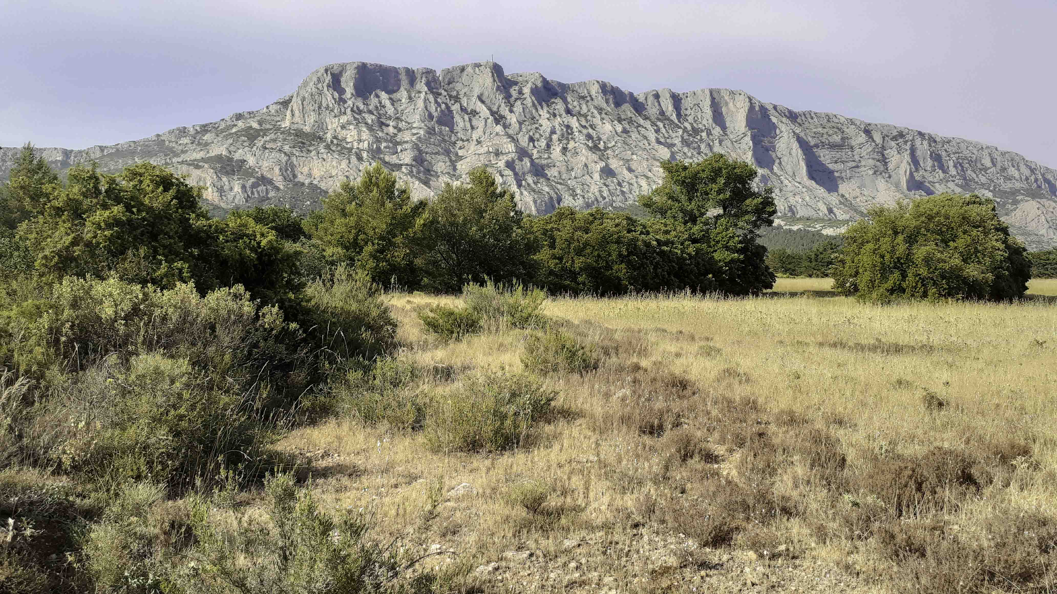 Inventaire photographique des papillons de nuit � Maur�ly