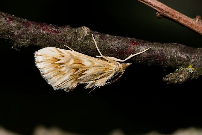 Inventaire des h�t�roc�res du Lub�ron