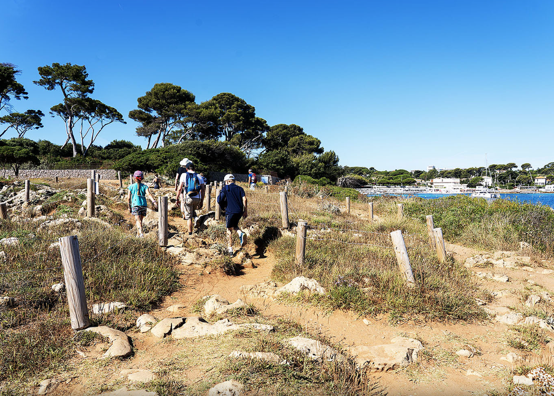 Sorties naturalistes et g�ologiques