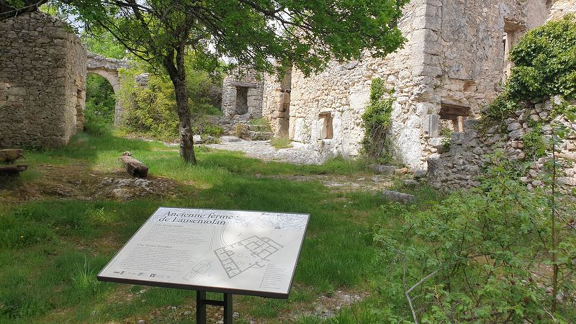 Les Rendez-vous du Parc - Balade entre Lausemolan et le Mur de la peste - Monieux