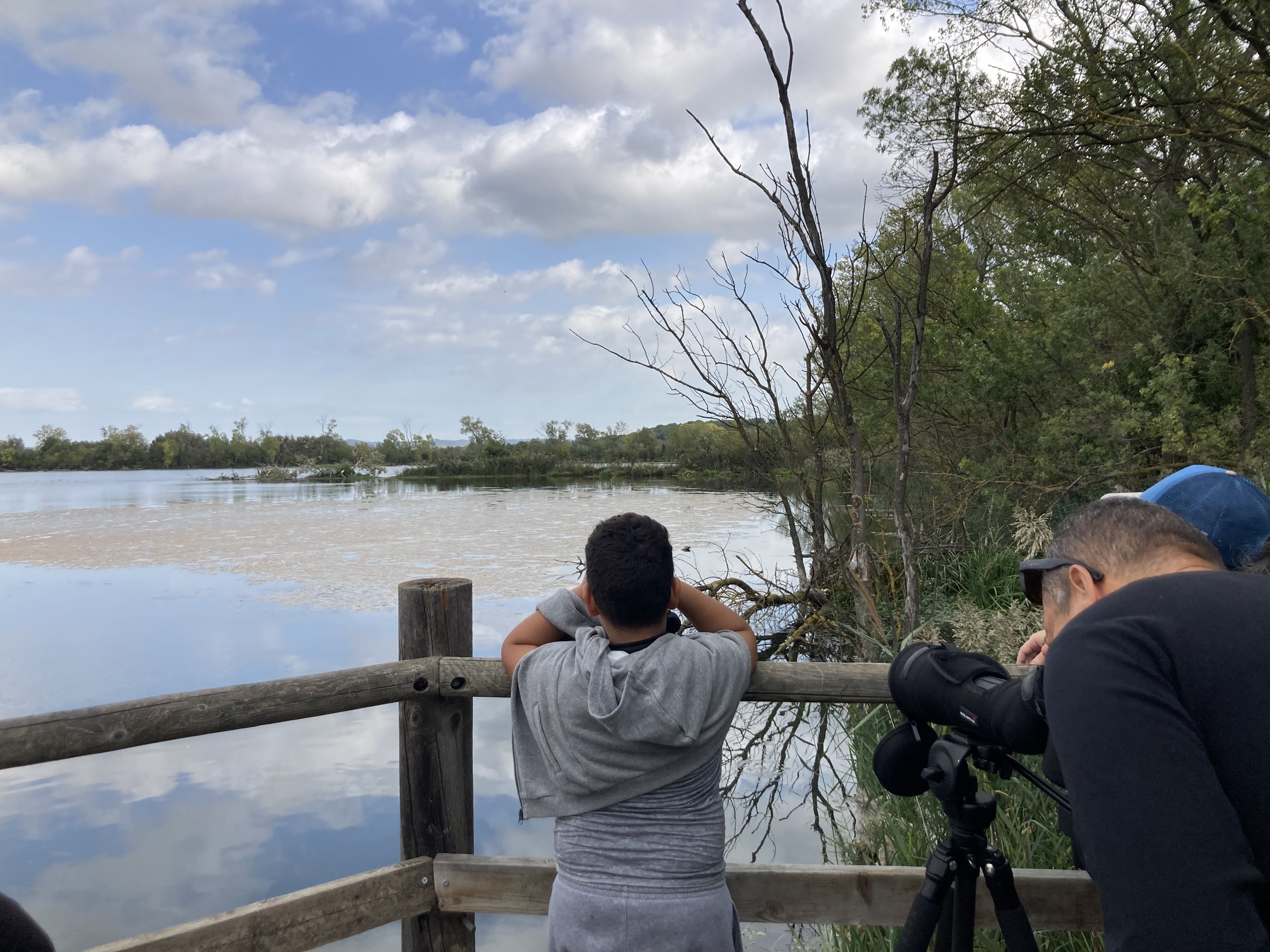 Sortie nature : Visite des marais de Beauchamp