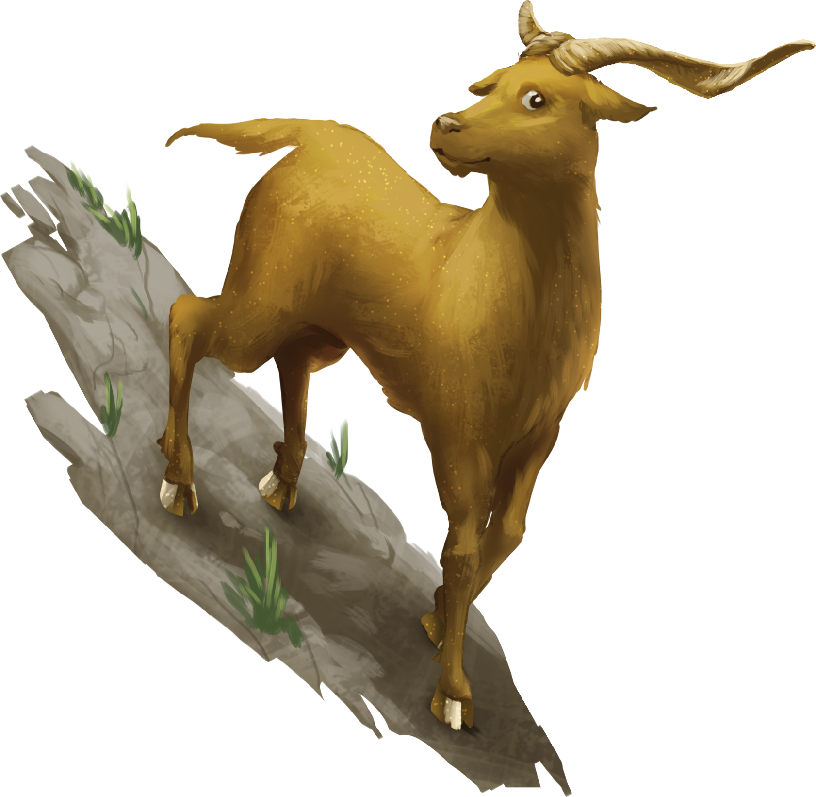 La Cabre d'Or : D�couverte du jeu avec des sorties semi-guid�es