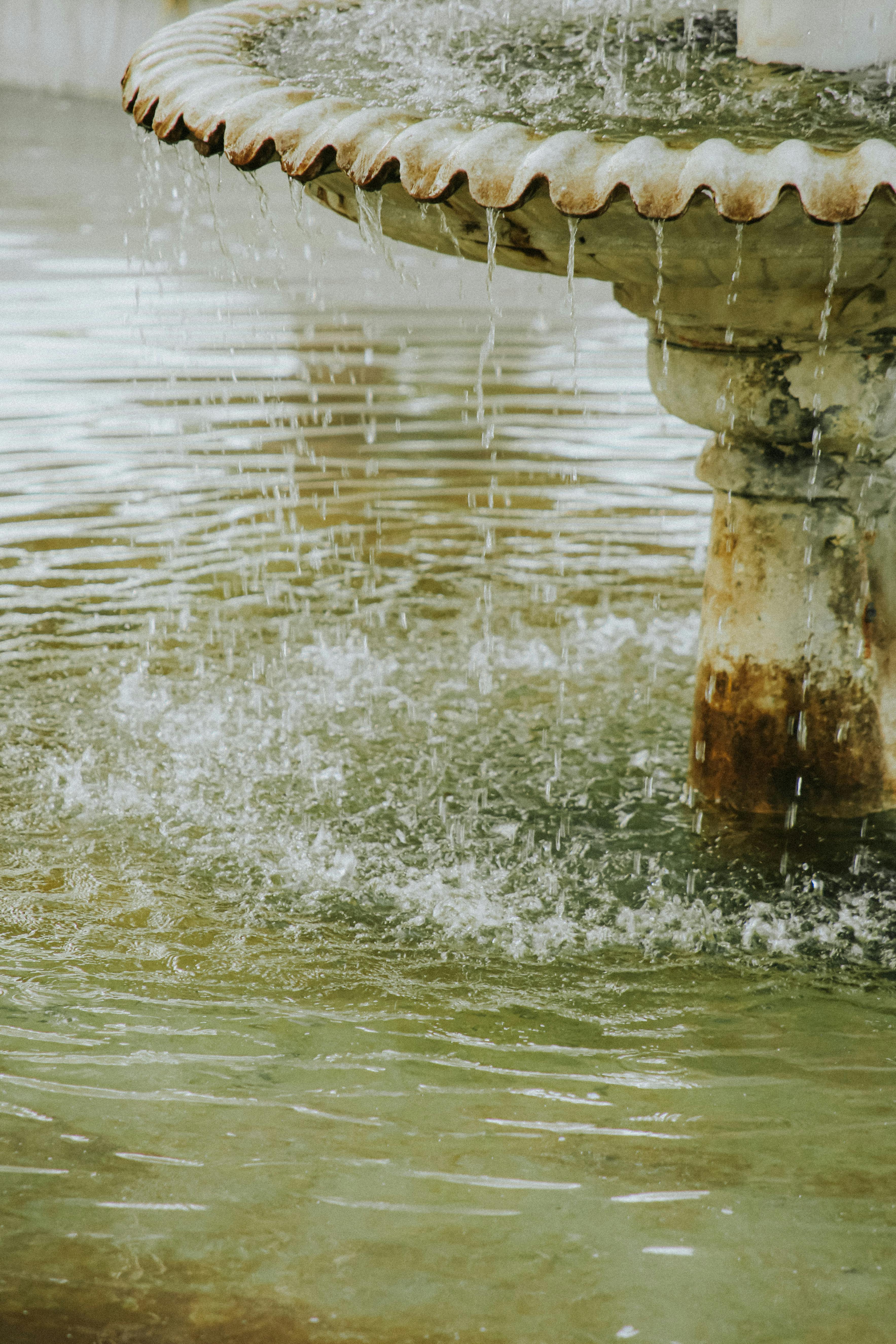 Conf�rence - Une histoire d�eau et de fontaines en Pays dignois