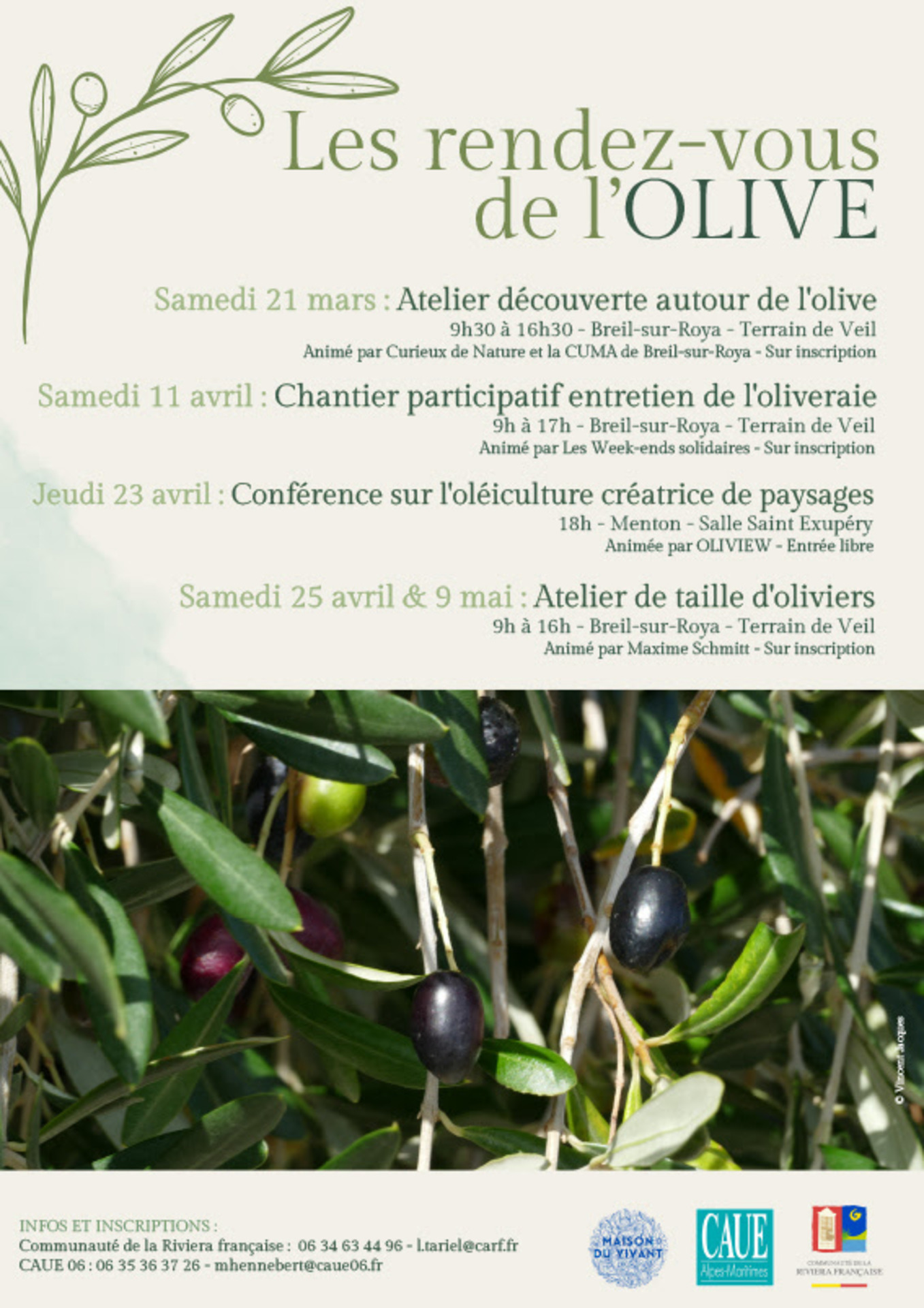 les rendez-vous de l'Olive : Atelier de taille d'oliviers