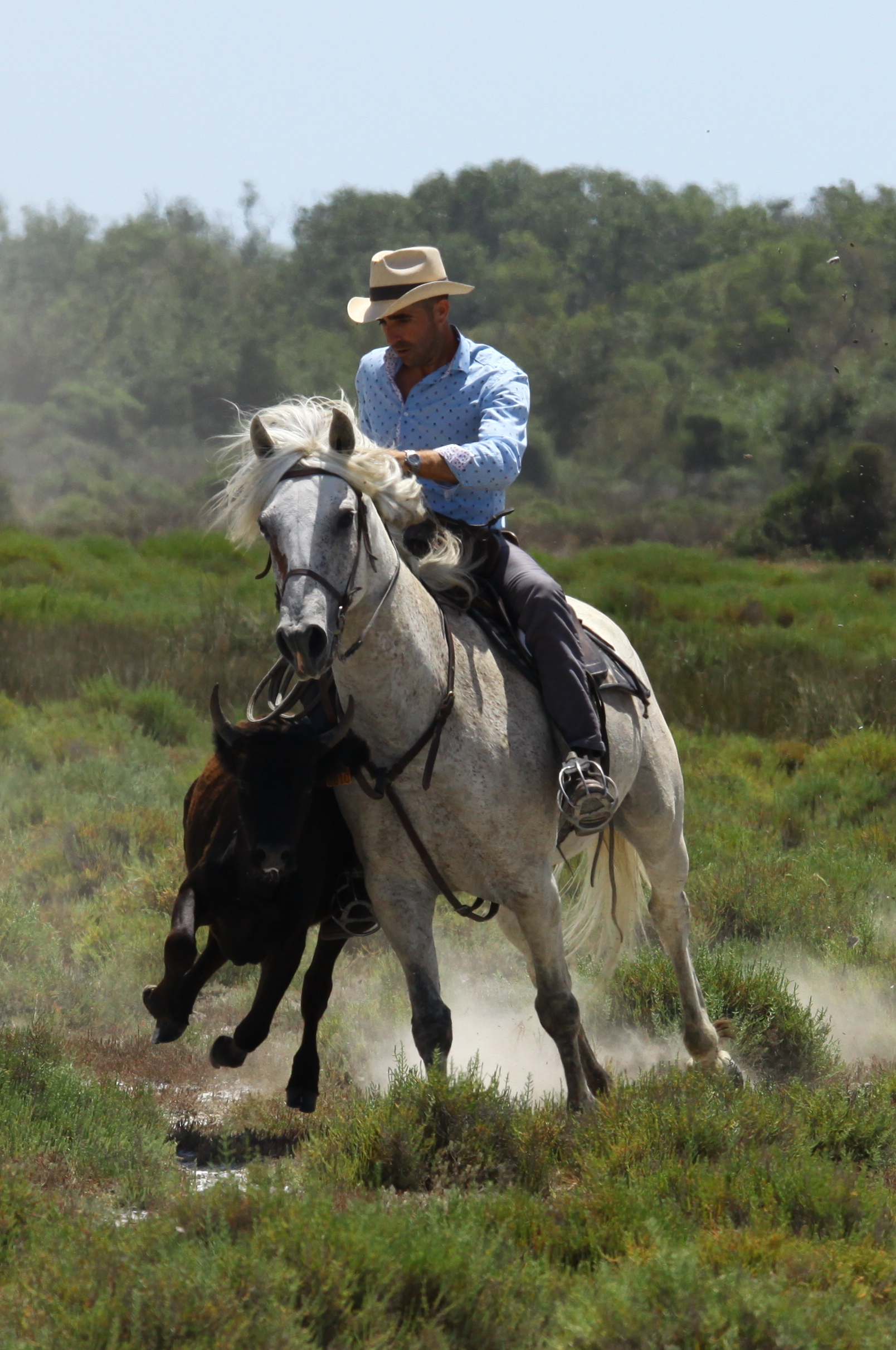 Balade en 4x4 � la manade Jacques Bon