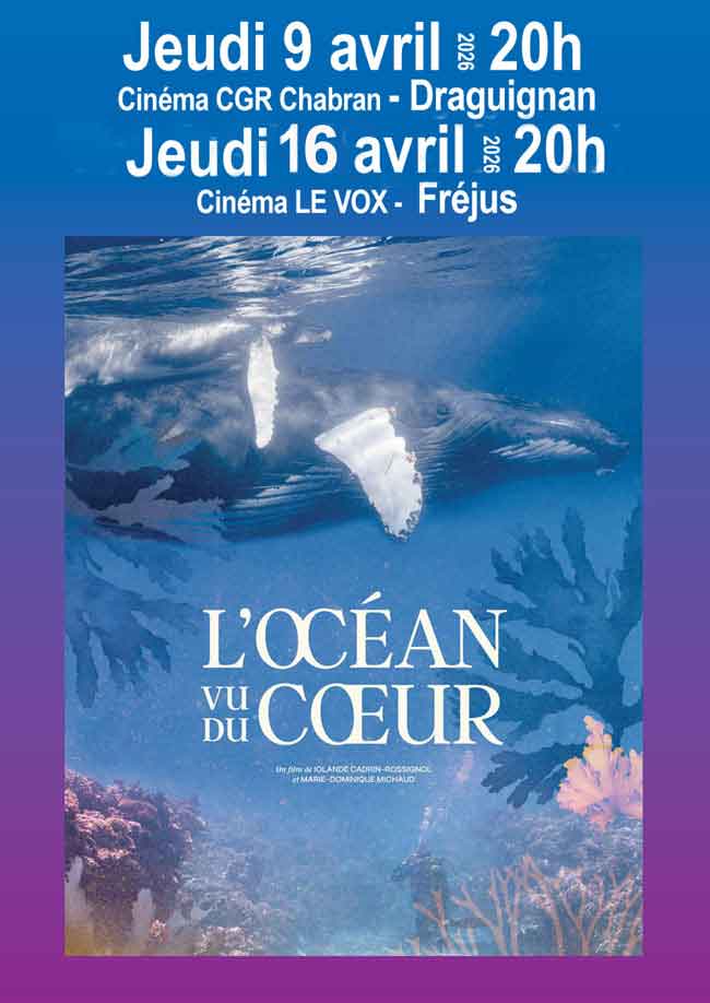 L'oc�an vu du c�ur